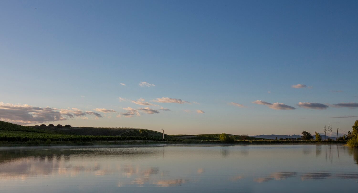 Stock Landscapes 7.jpg