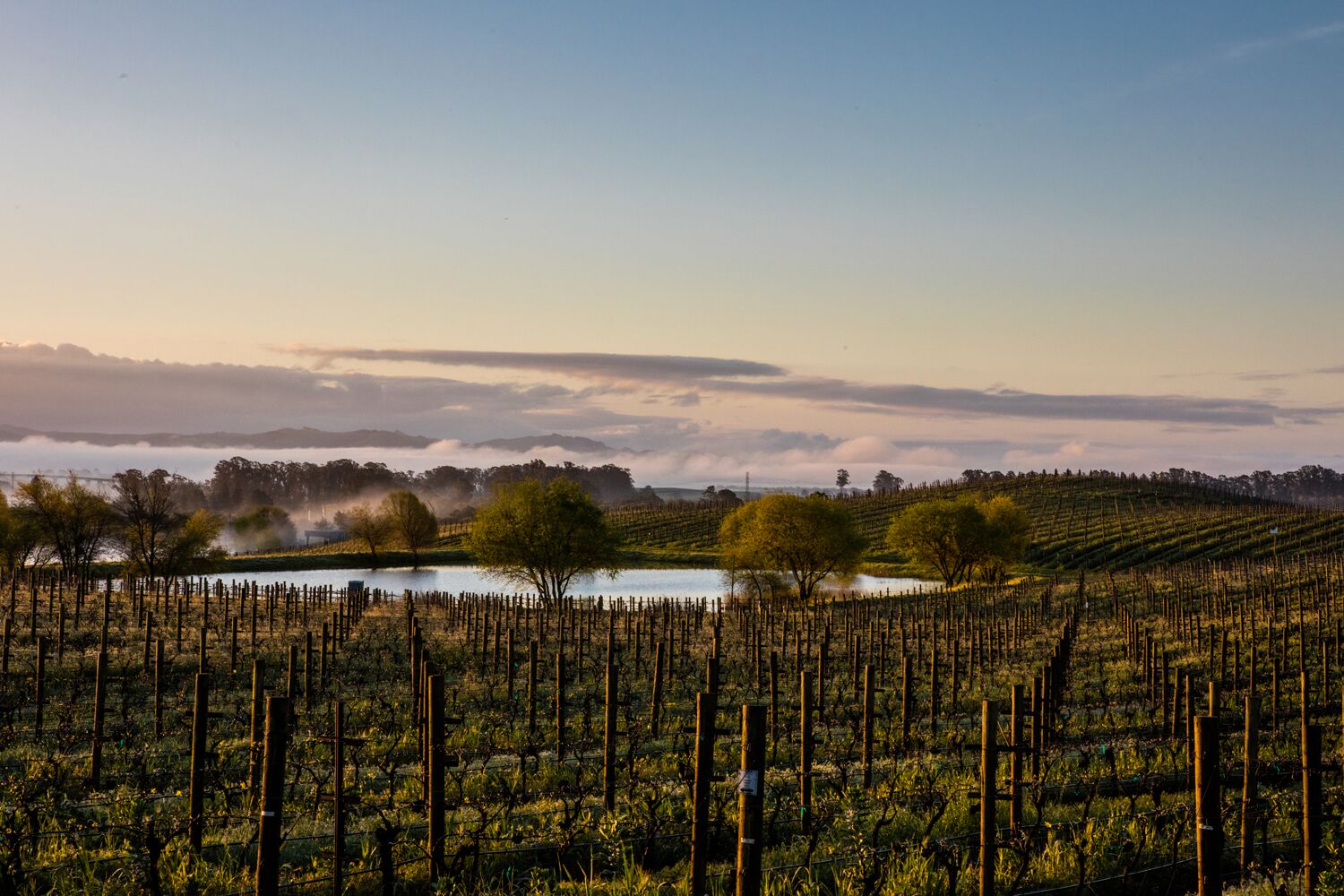Stock Landscapes 10.jpg