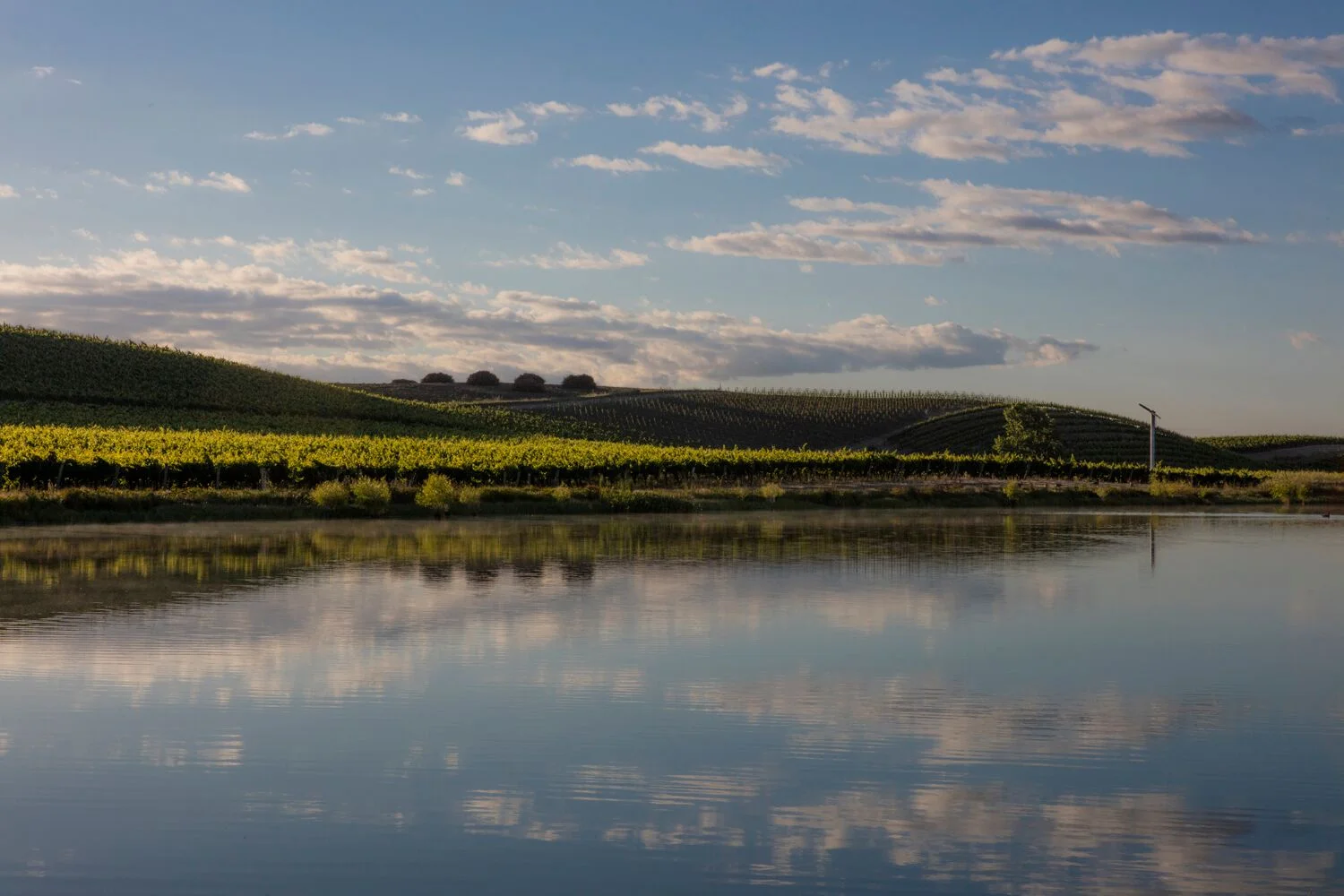 Stock Landscapes 9.jpg