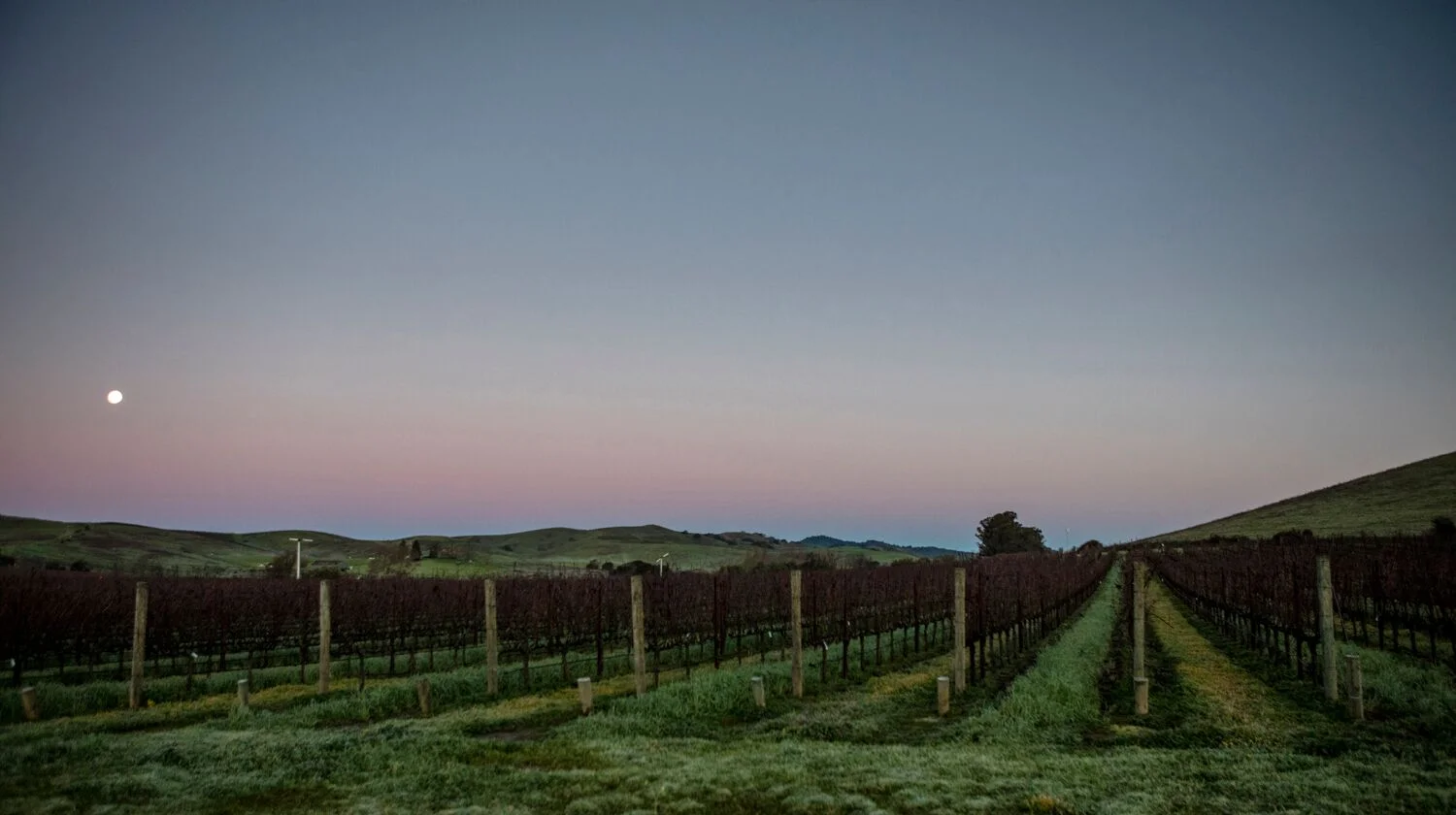 Stock Landscapes 12.jpg