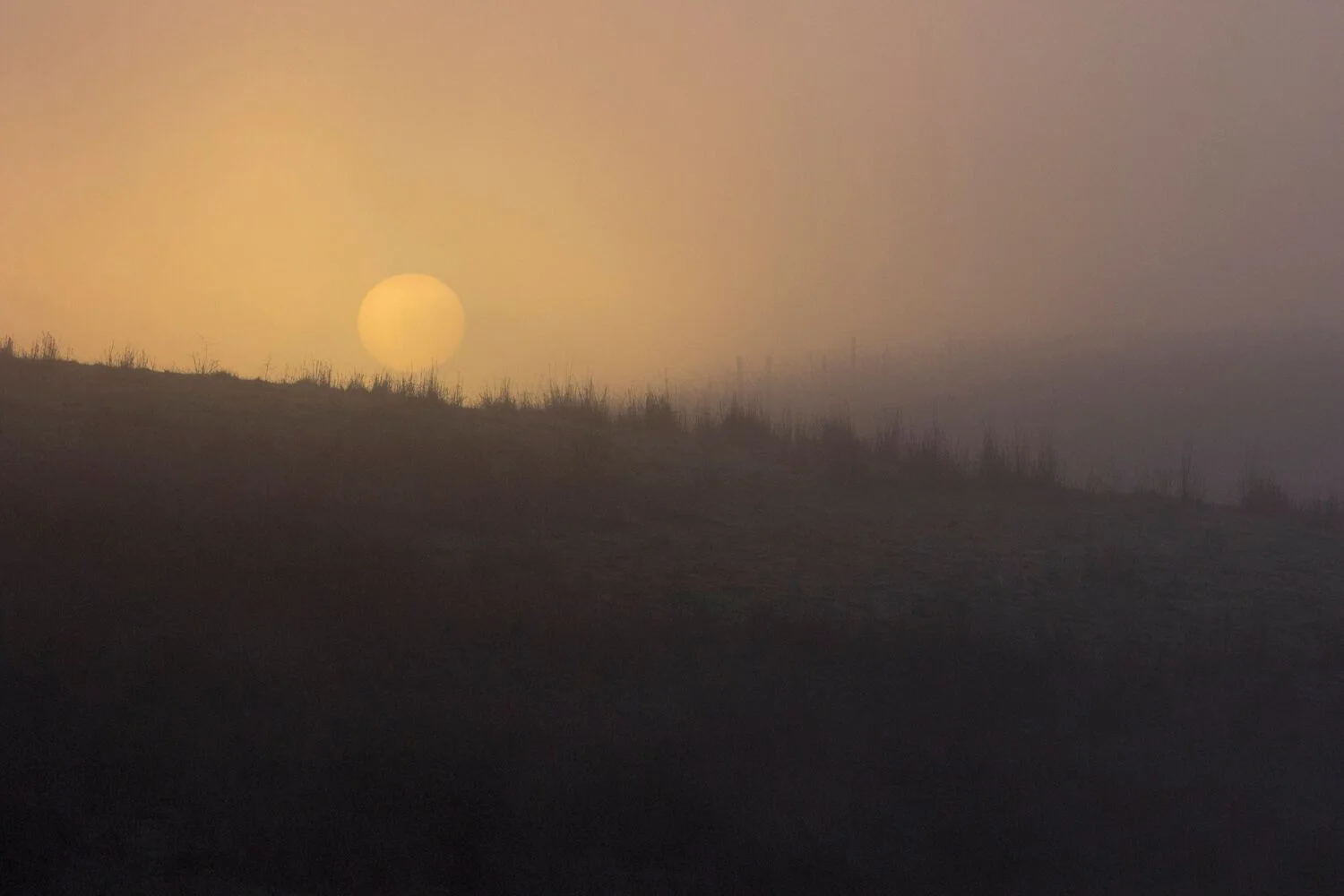 Stock Landscapes 15.jpg