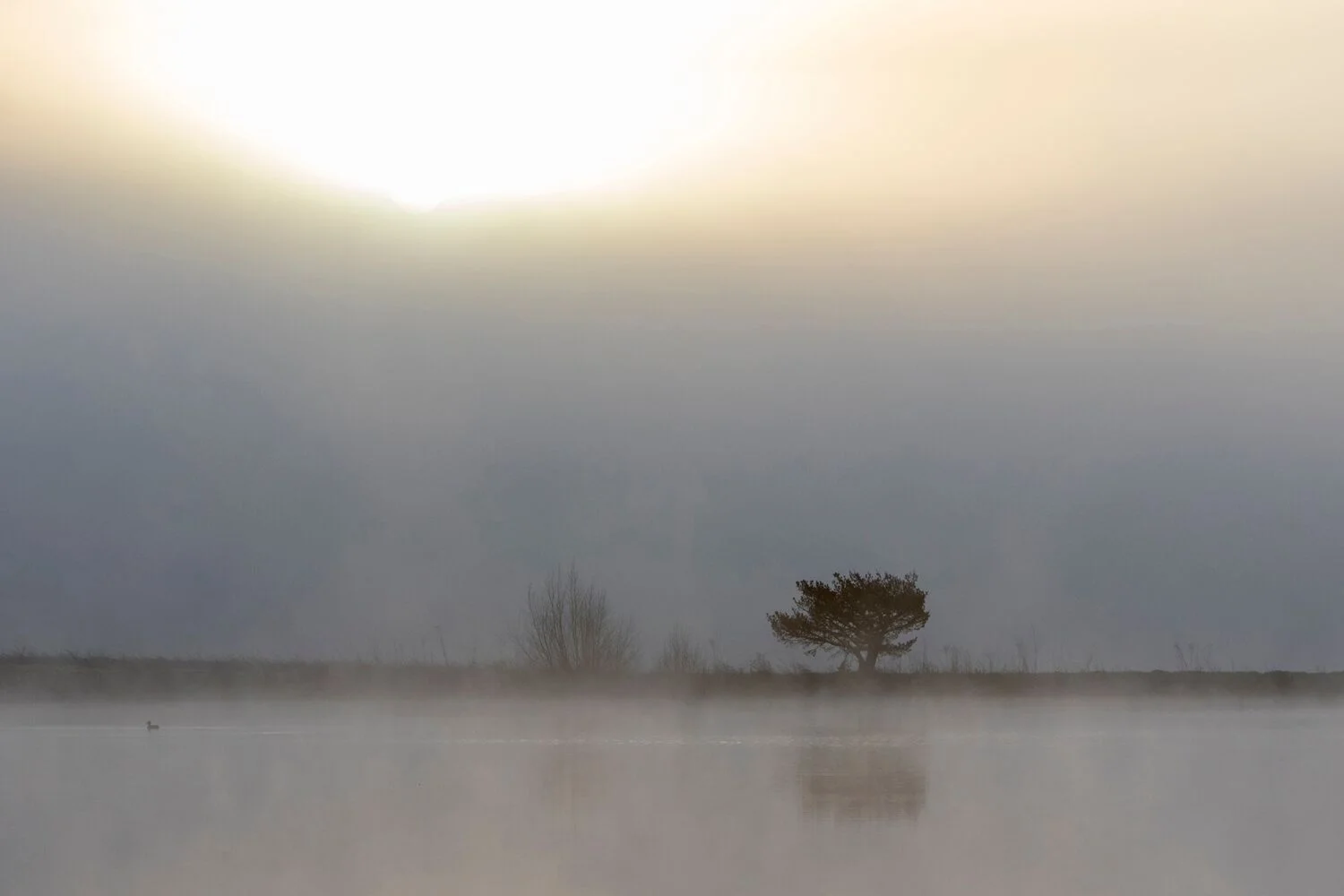 Stock Landscapes 18.jpg