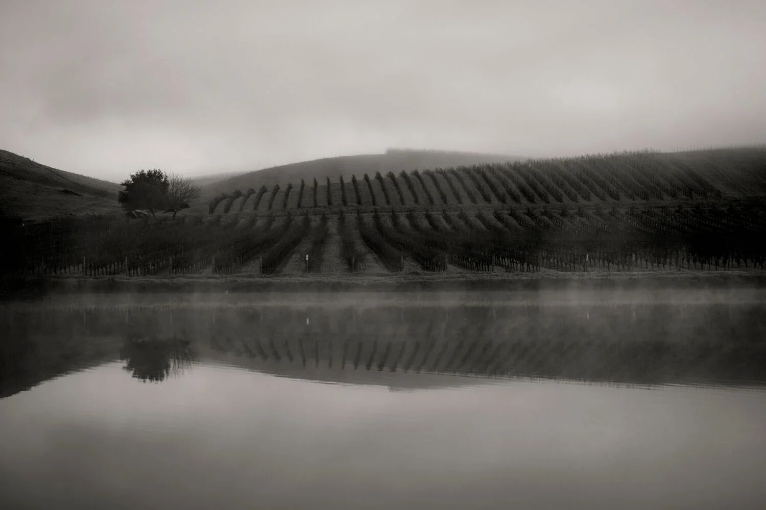 Stock Landscapes 21.jpg