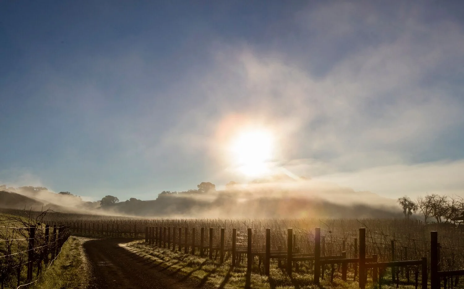 Stock Landscapes 22.jpg
