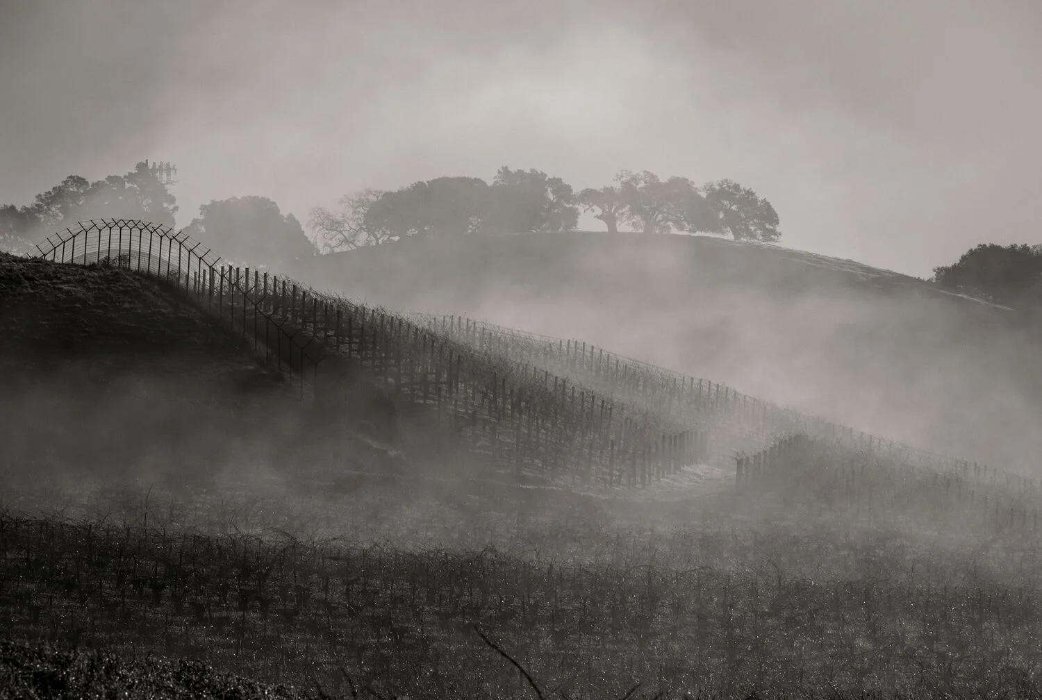 Stock Landscapes 23.jpg