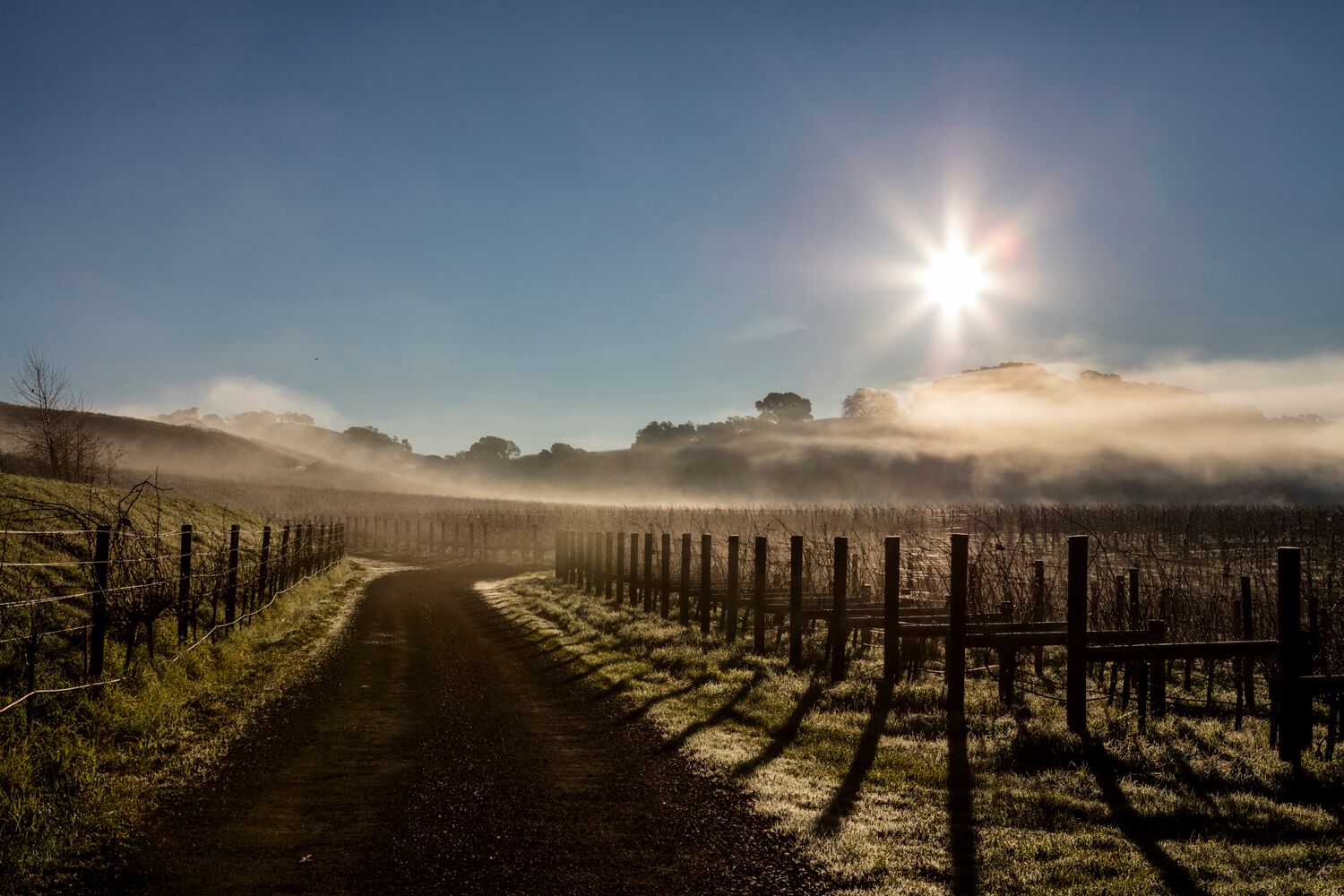 Stock Landscapes 24.jpg