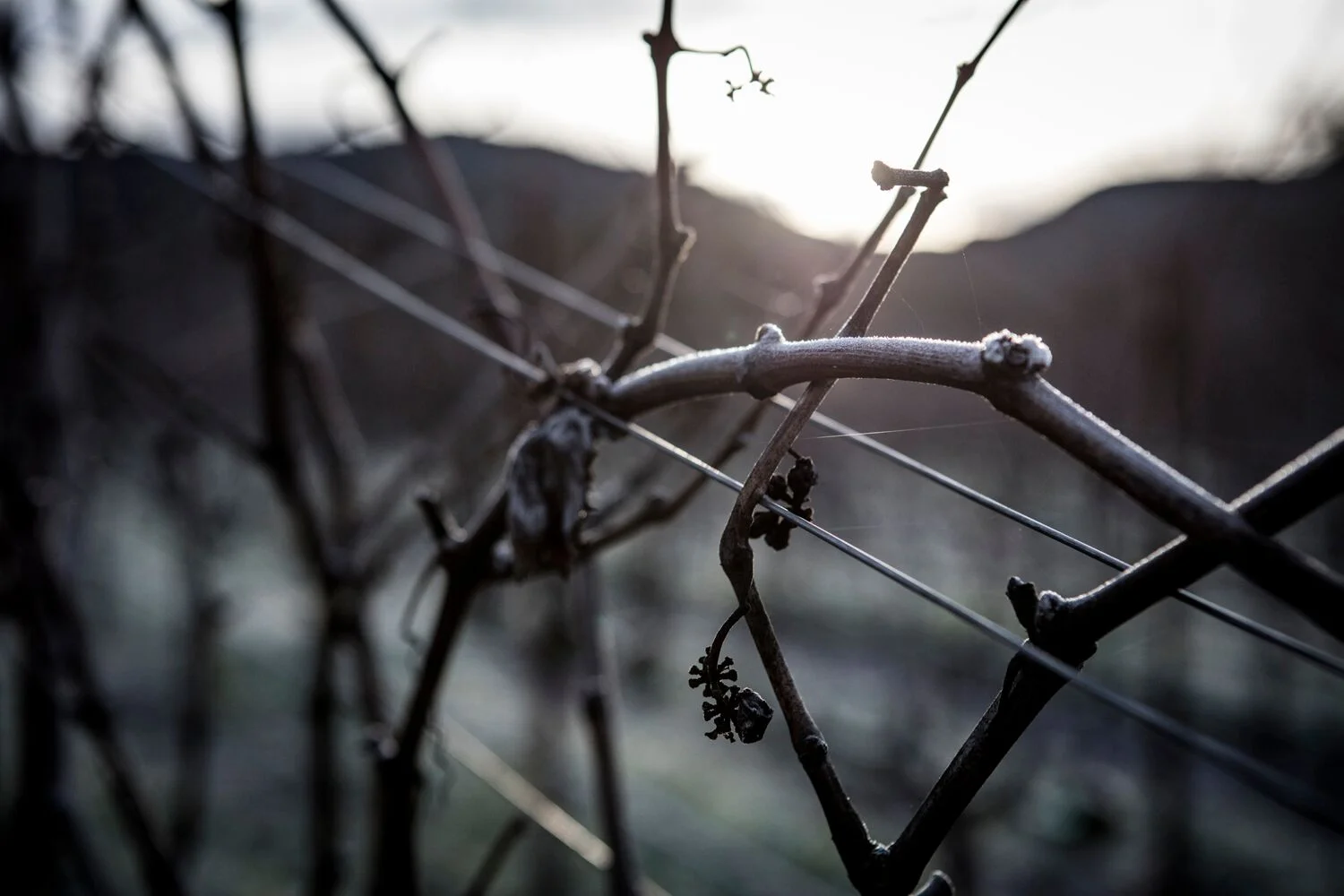 Stock Landscapes 31.jpg