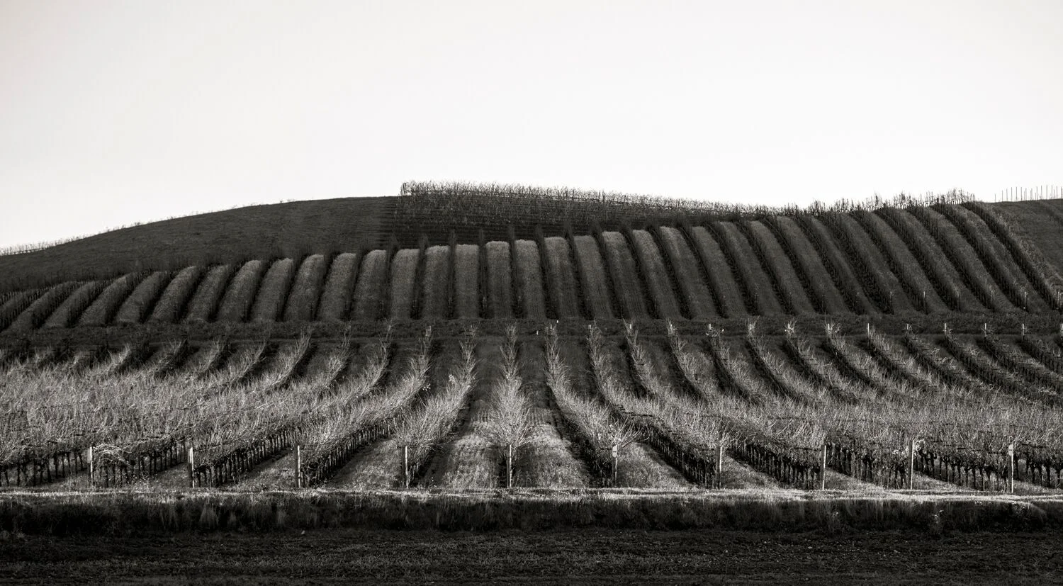 Stock Landscapes 32.jpg