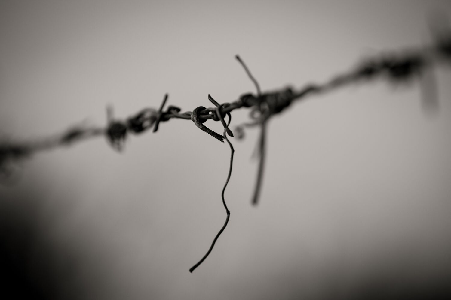 Stock Landscapes 34.jpg
