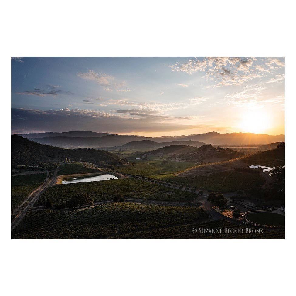 View of @stagsleapava looking west from @shafervineyards. Shot after Monday&rsquo;s rains for @napavintners AVA project.