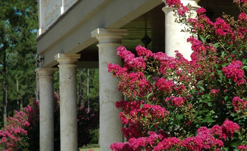 Anthony PetersonThe following is placeholder text known as “lorem ipsum,” which is scrambled Latin used by designers to mimic real copy. Sed a ligula quis sapien lacinia egestas. Quisque congue porttitor ullamcorper. Vivamus a ante congue, porta nun…