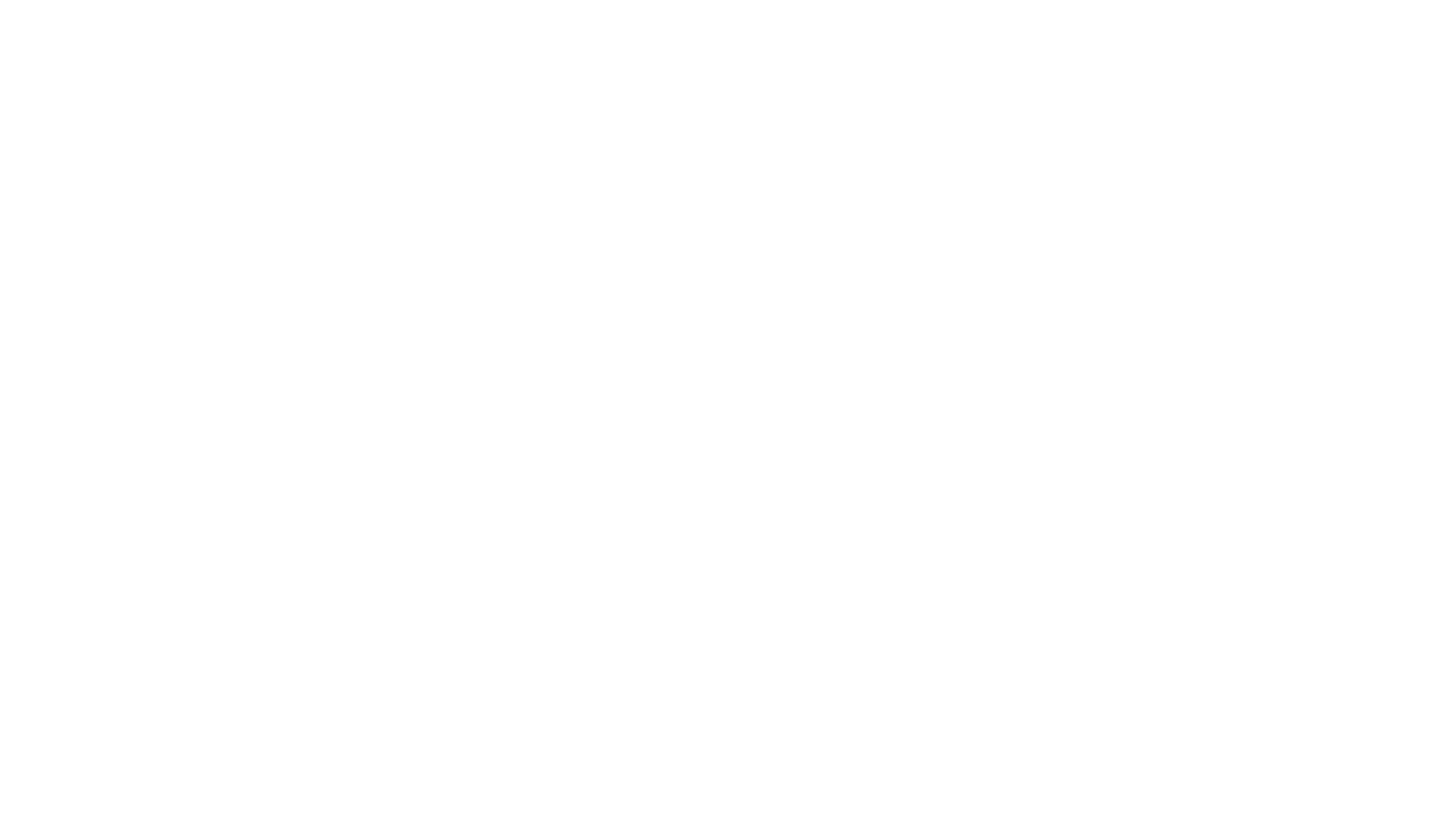 Den A. P. Møllerske Støttefond