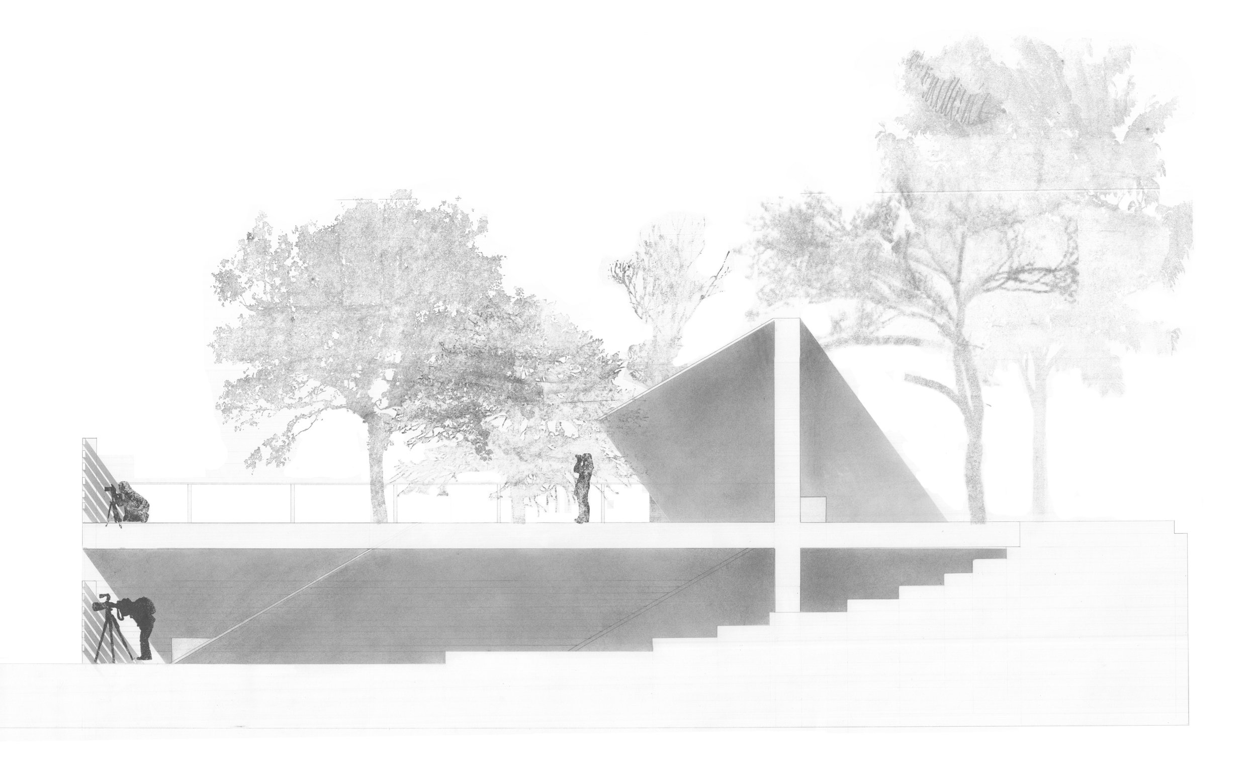 wiesehuegel_P2_final section drawing_010.jpg