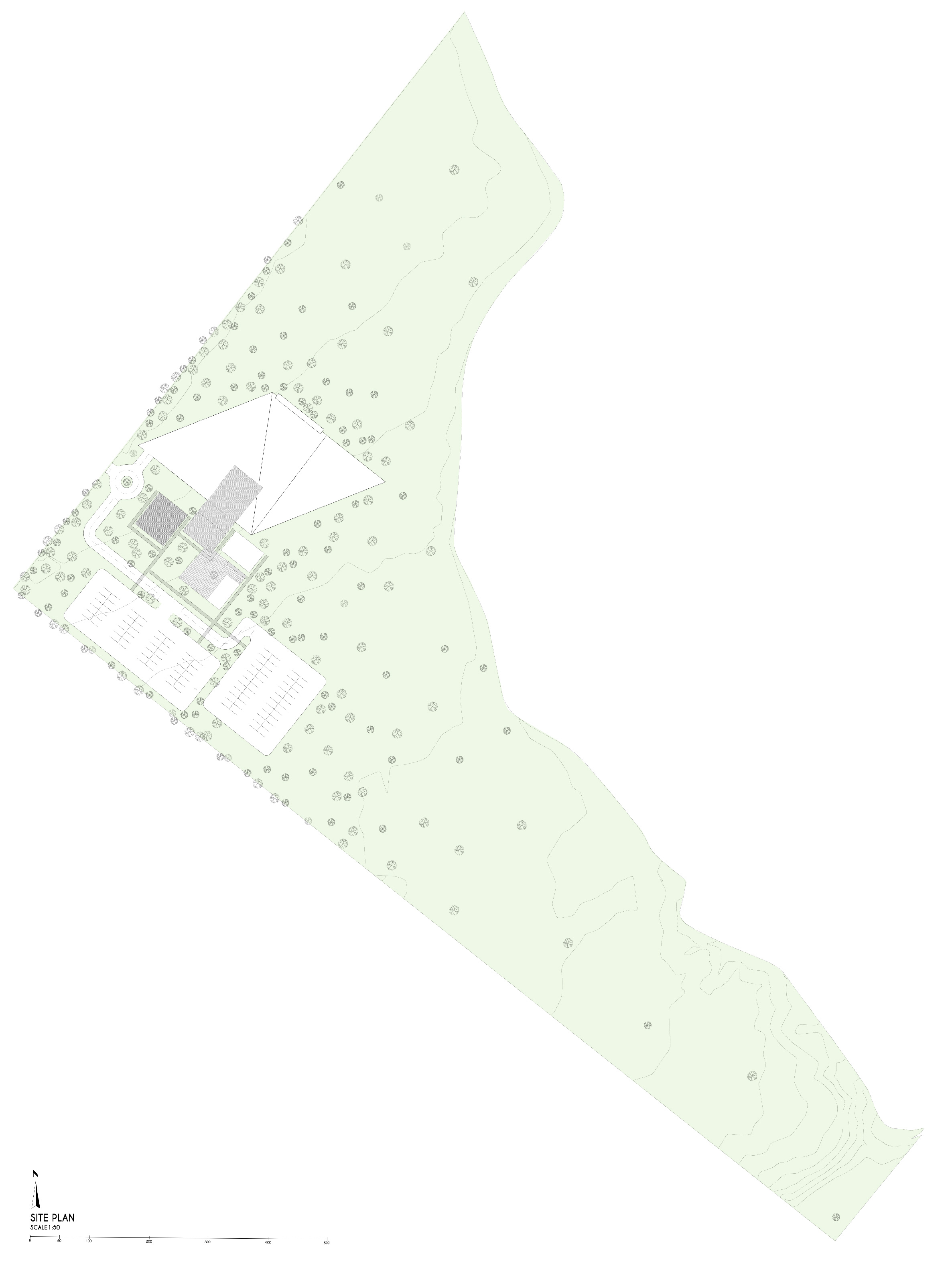 site plan 1-50.jpg
