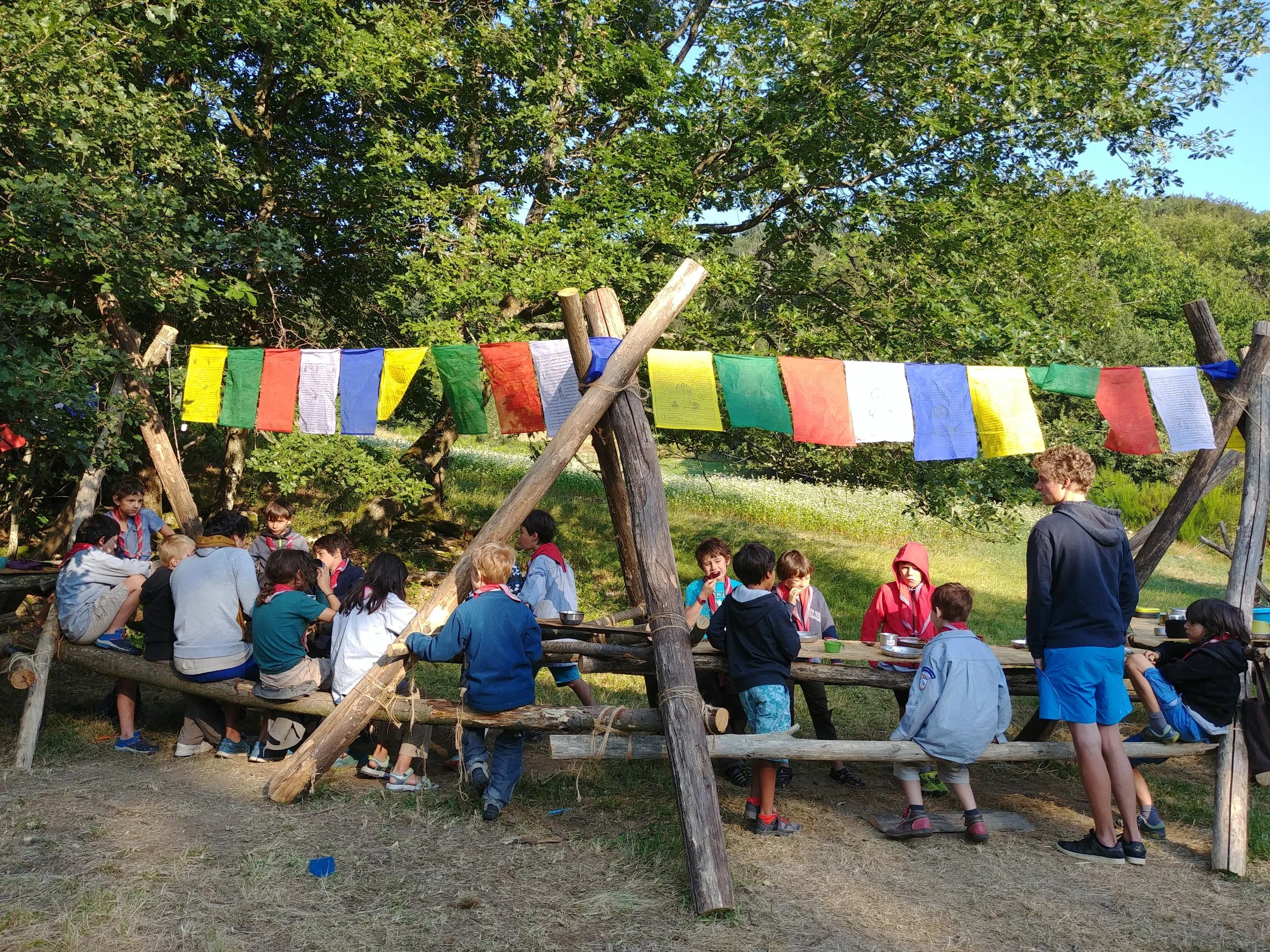 20180723_081446.jpg