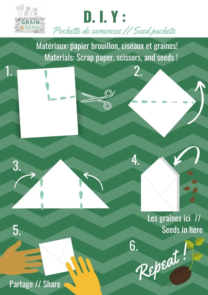 D.I.Y _ seed packets.jpg