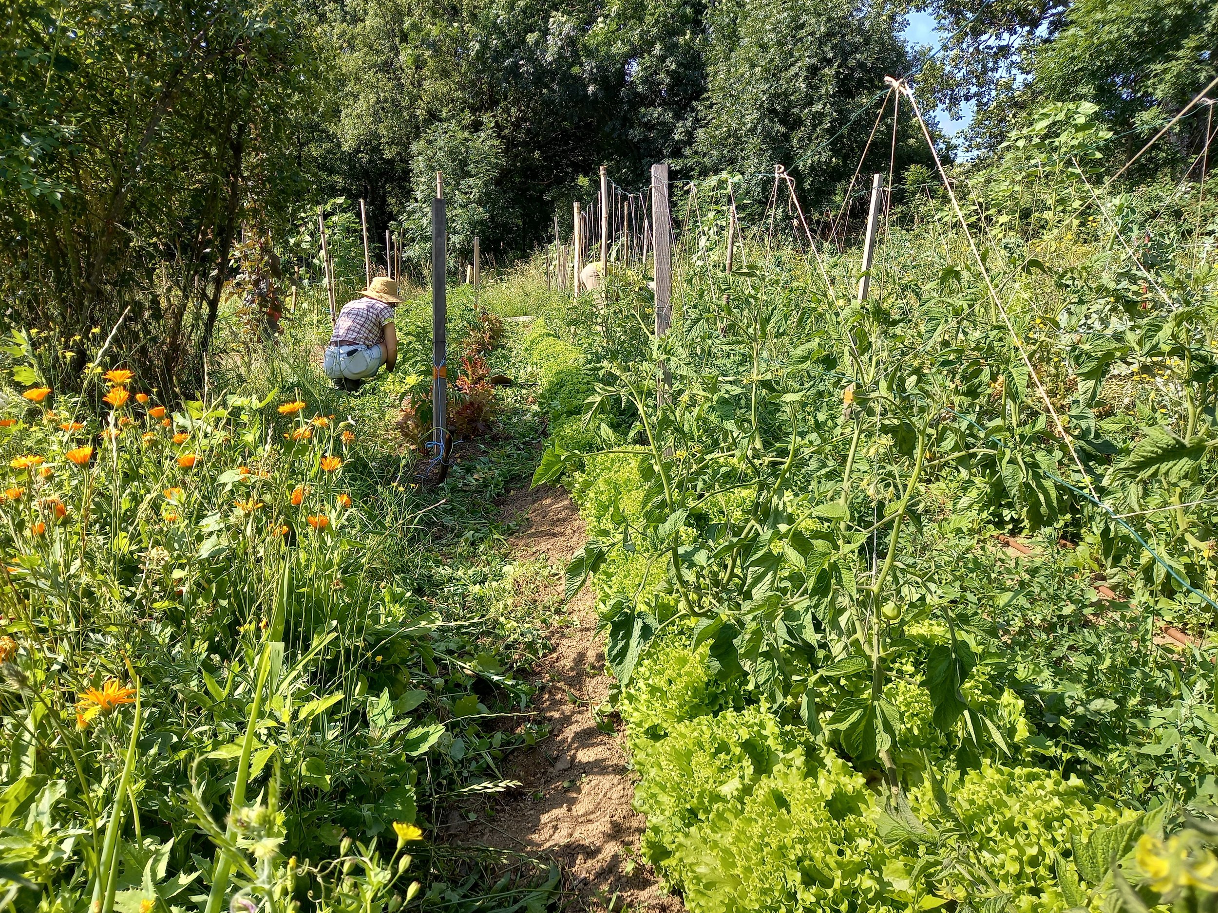Fede in the garden.jpg