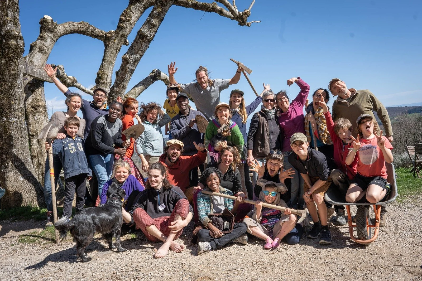 Assises Dehors Printemps 2025 🌳🕺🏽👨🏽‍🤝‍👨🏼👩🏼‍🌾🌳 - Printemps en forêt de l'Association Grain&amp;Sens 