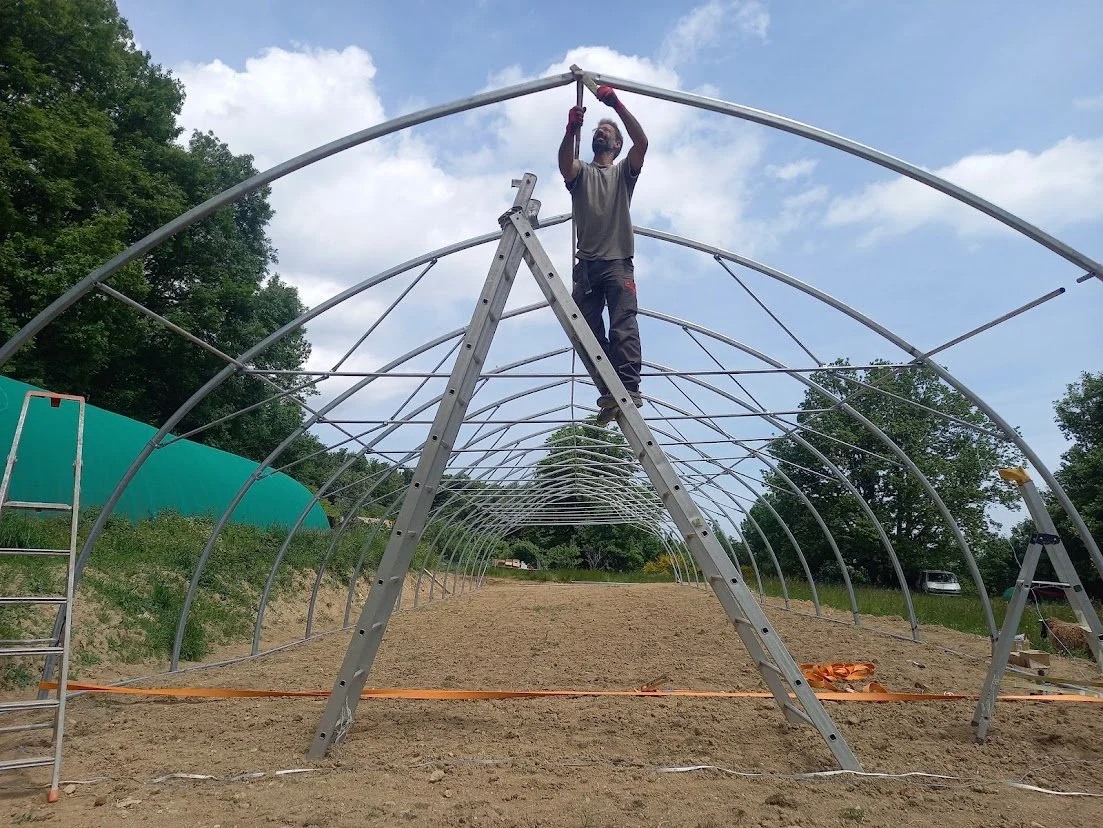 greenhouse building 3.jpg