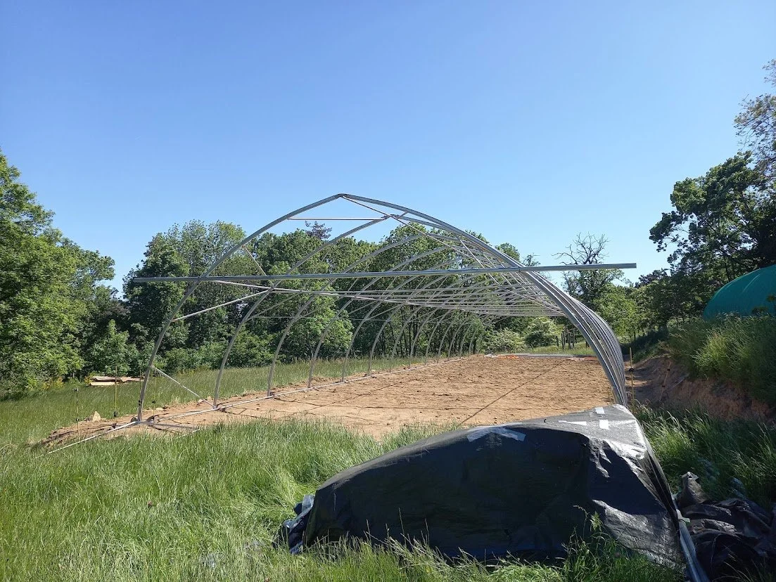 greenhouse building 2.jpg