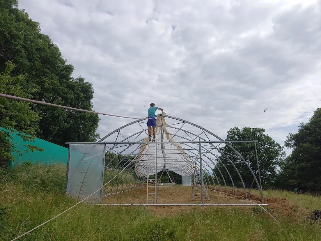 greenhouse bache on.jpg