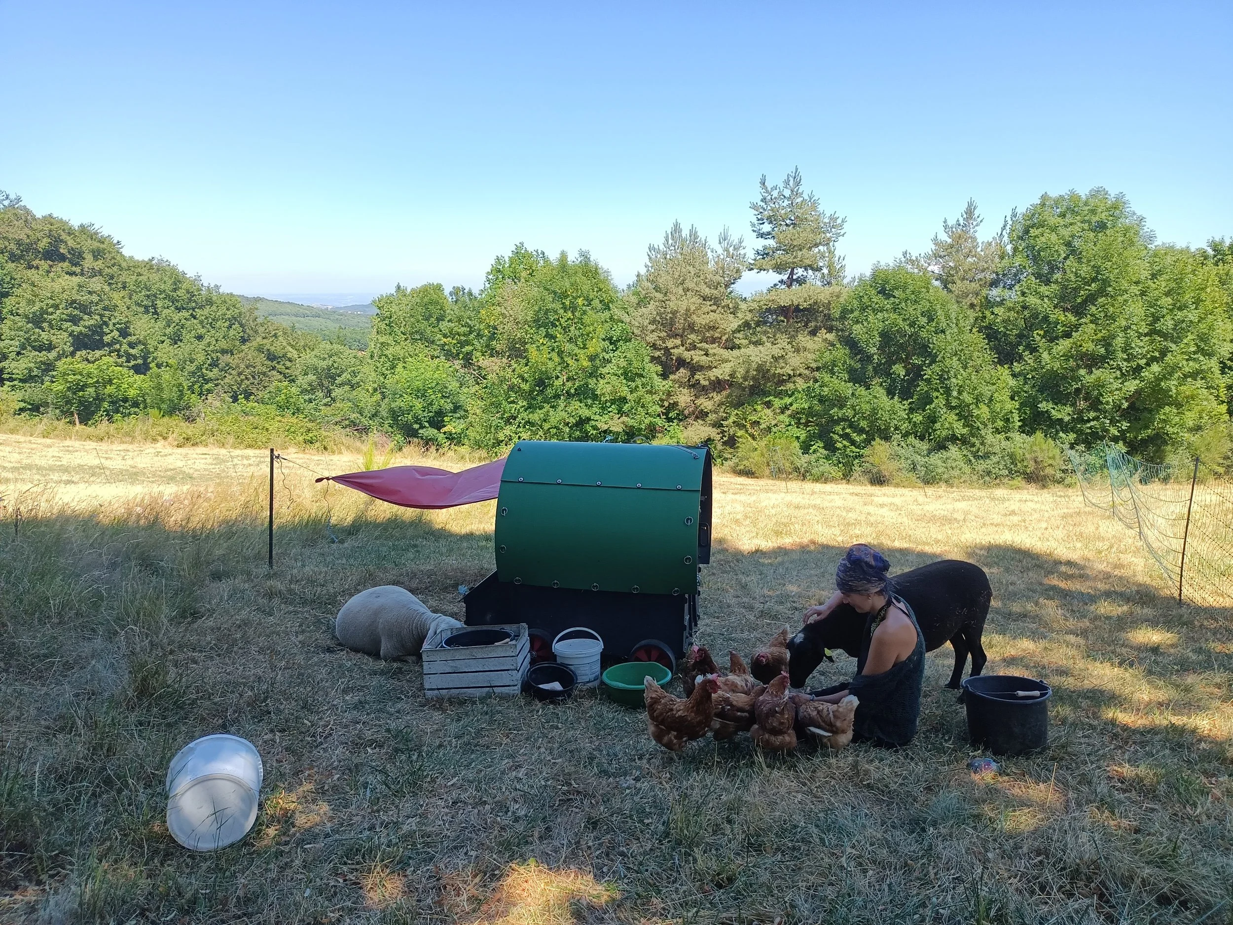 IMG20250716153859.jpg