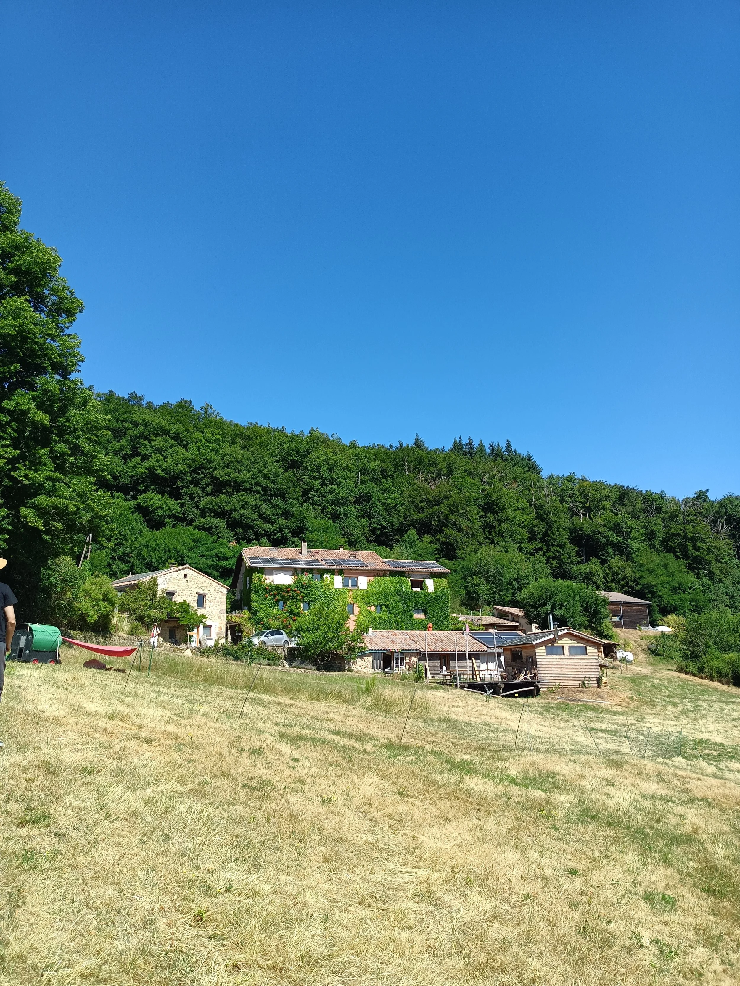 IMG20250716110735.jpg