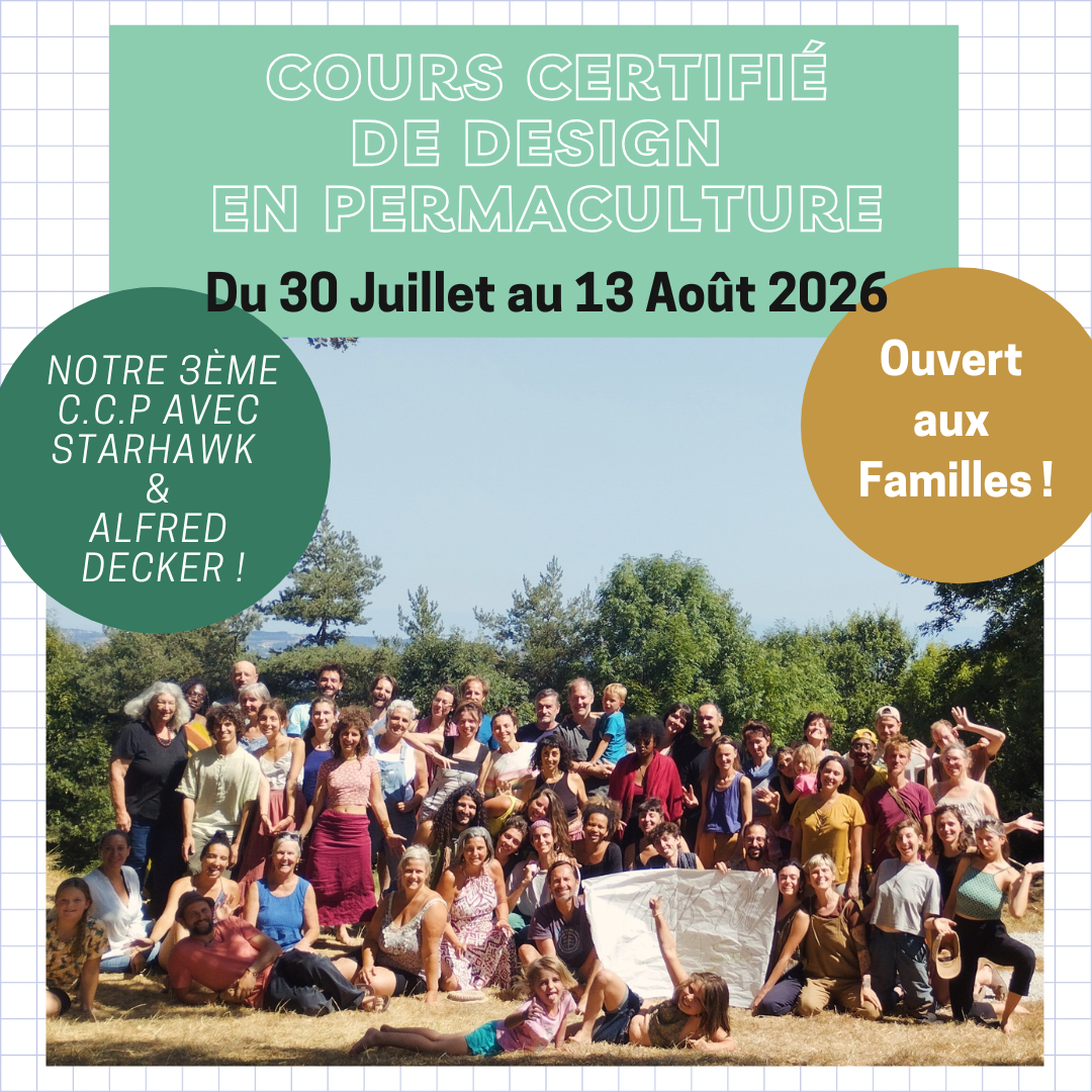 2025 december newsletter (1).png