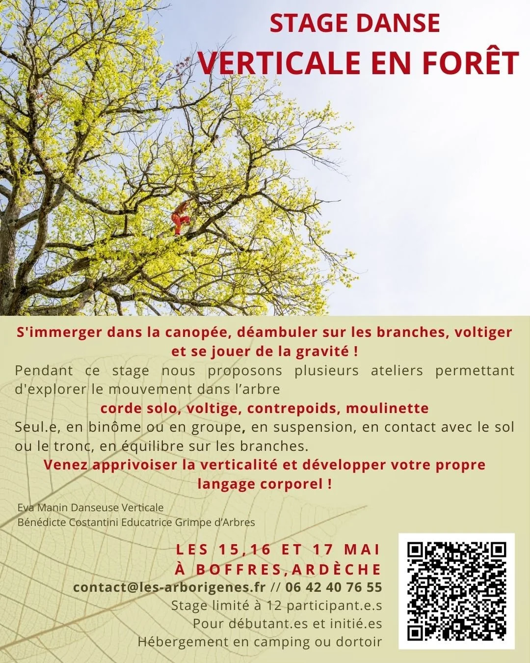 Stage Danse Verticale en Forêt 