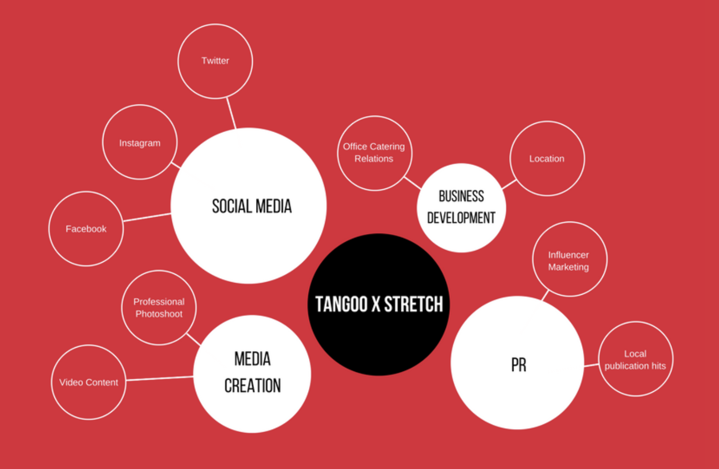 stretchxtangoo_casestudystrategy.png