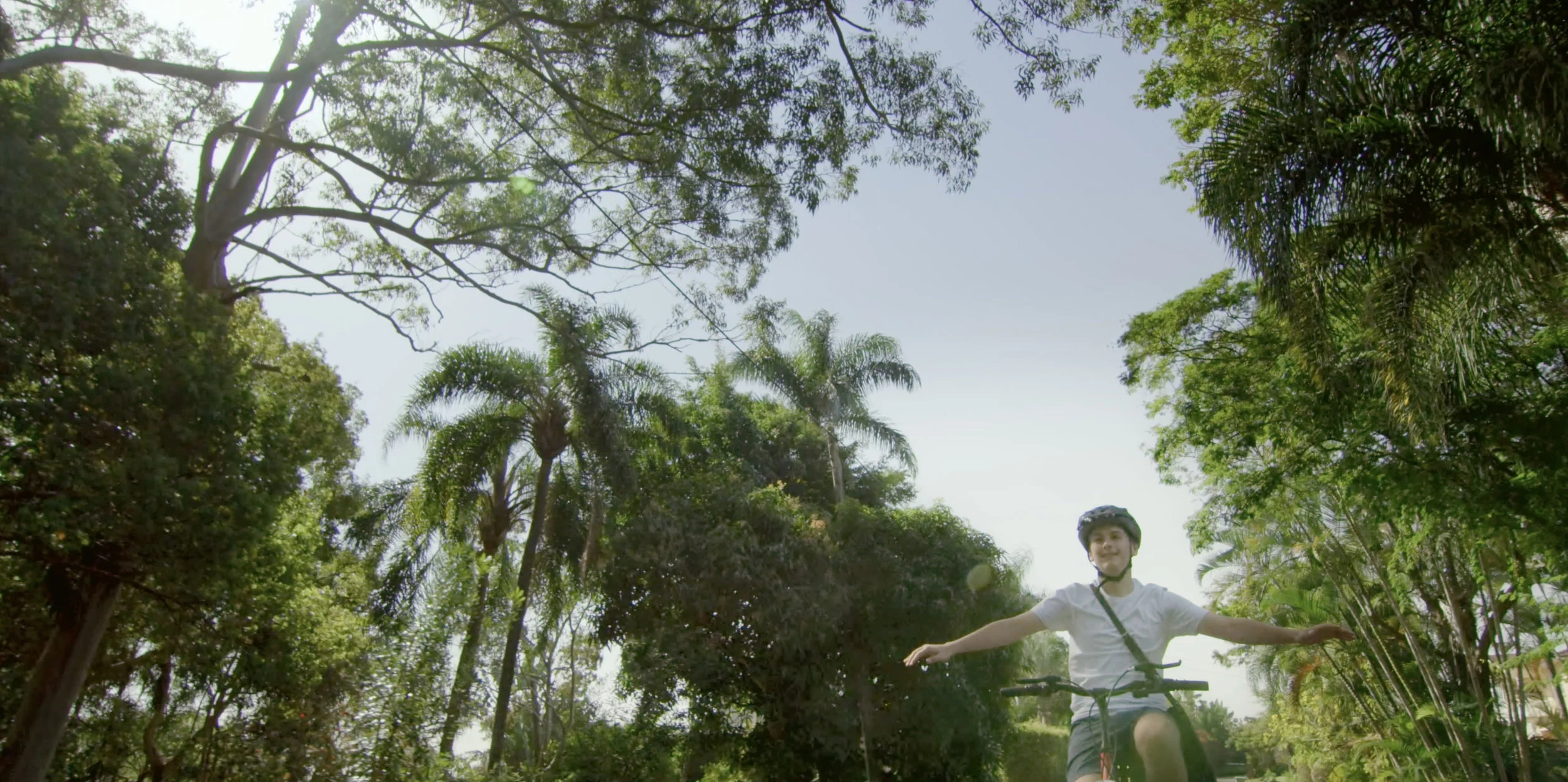 Century 21 Grant Smith Property - My Story