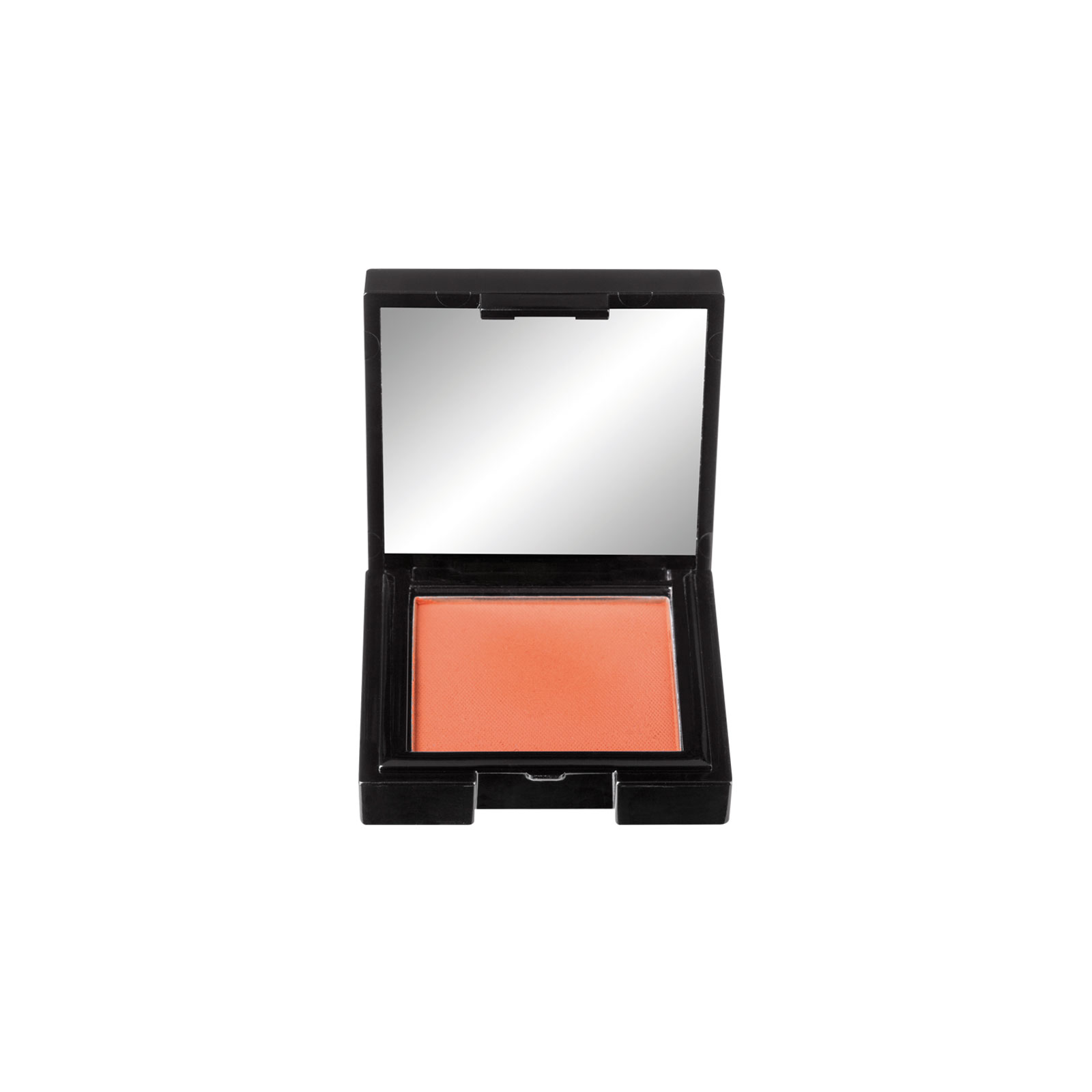 M53 - shell coral