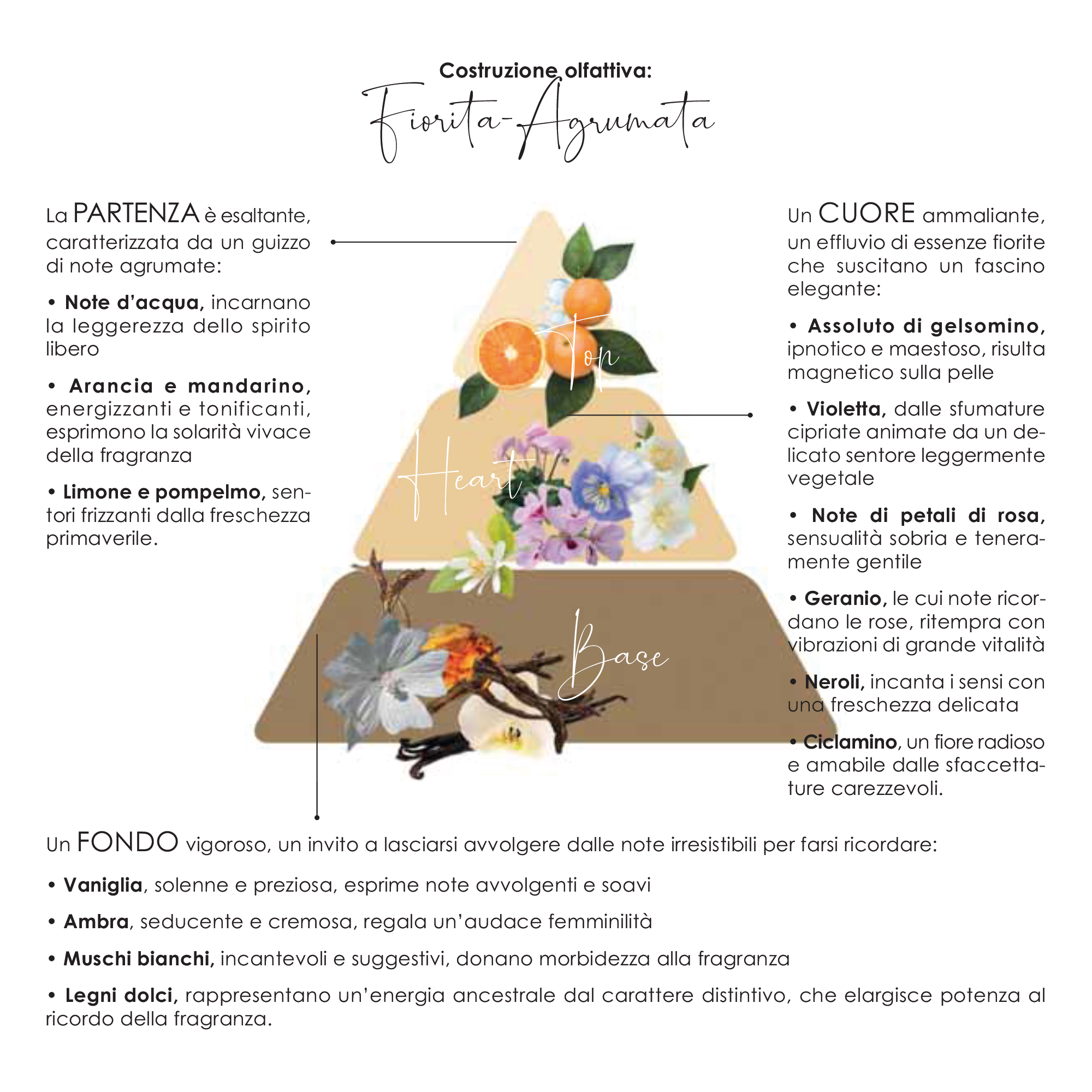 pyramide des parfums.png