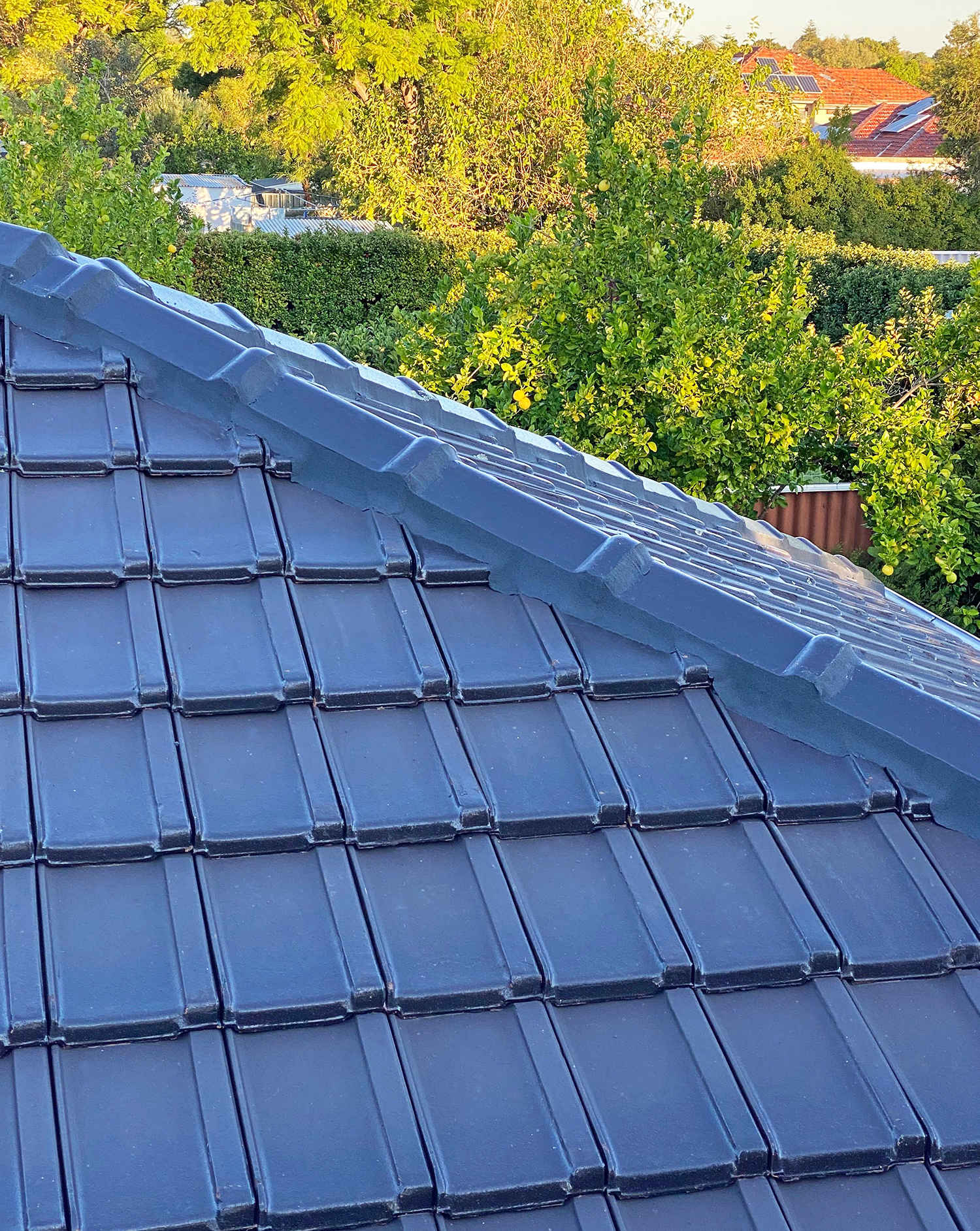 Repair & Maintenance of Tiled Roof - Repointing 