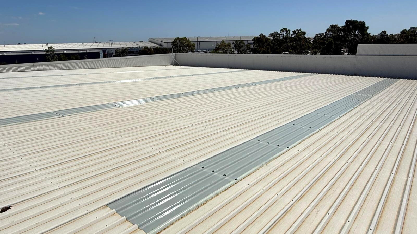 Commercial Skylight Sheets 