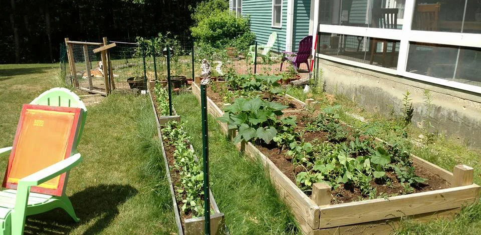 garden.jpg