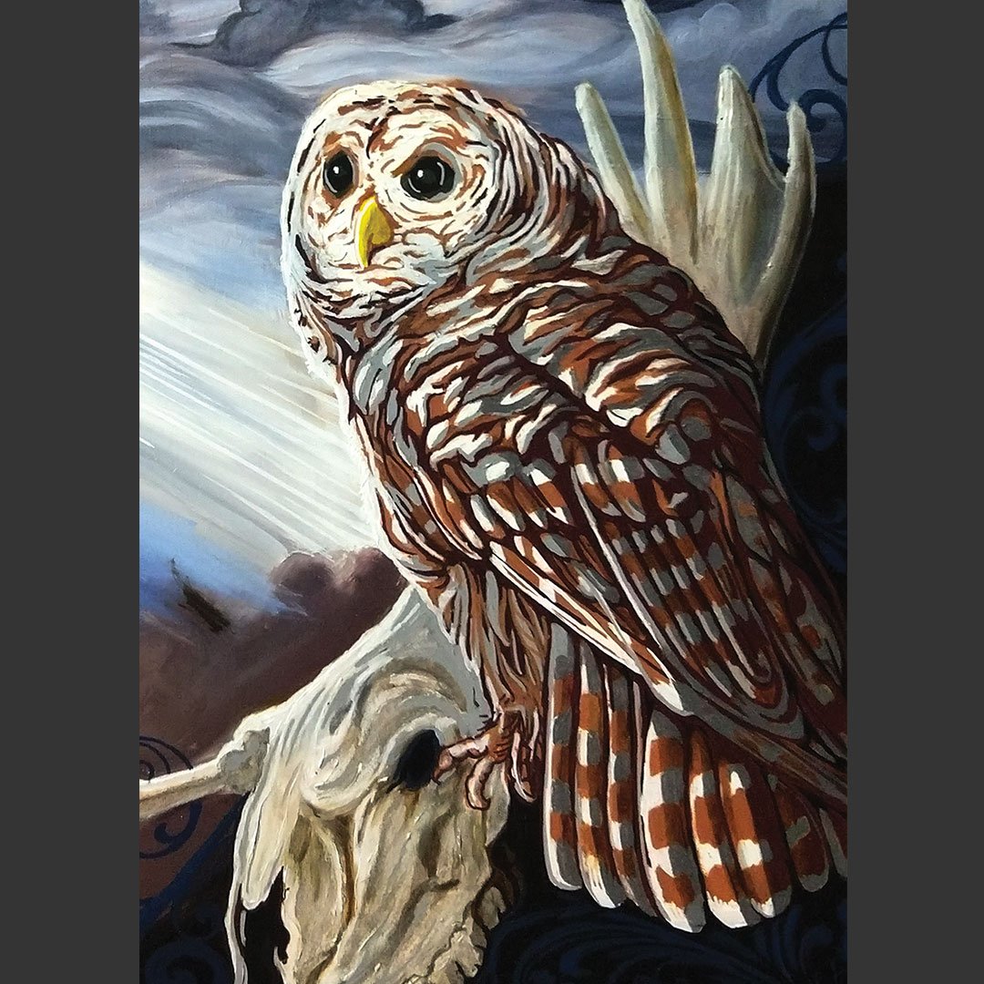 OwlHardWisdom2.jpg