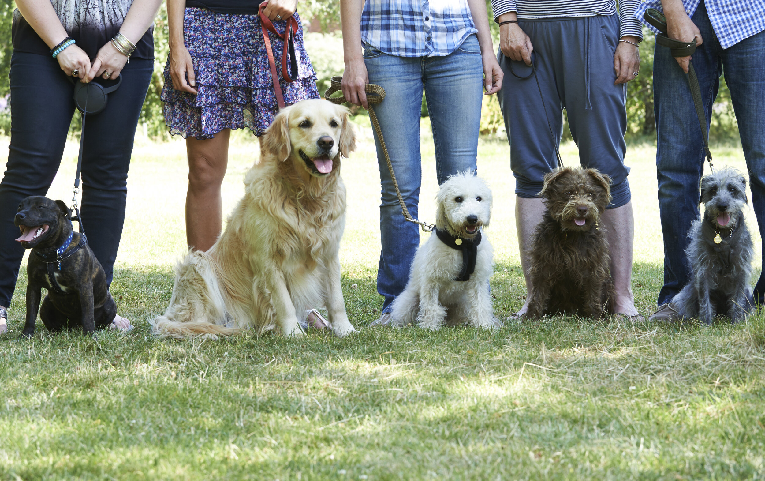 iStock-491765830 Group Class.jpg