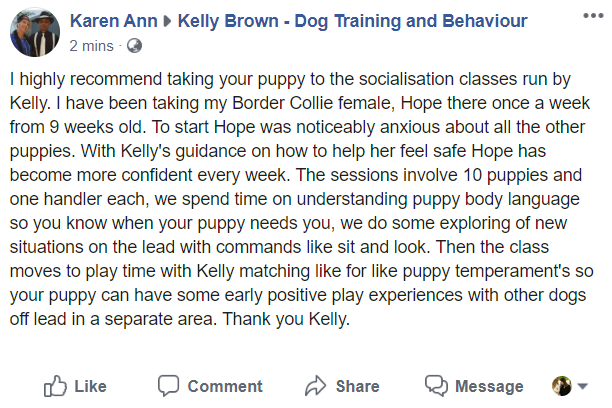 Karen Ann - PUPS.PNG