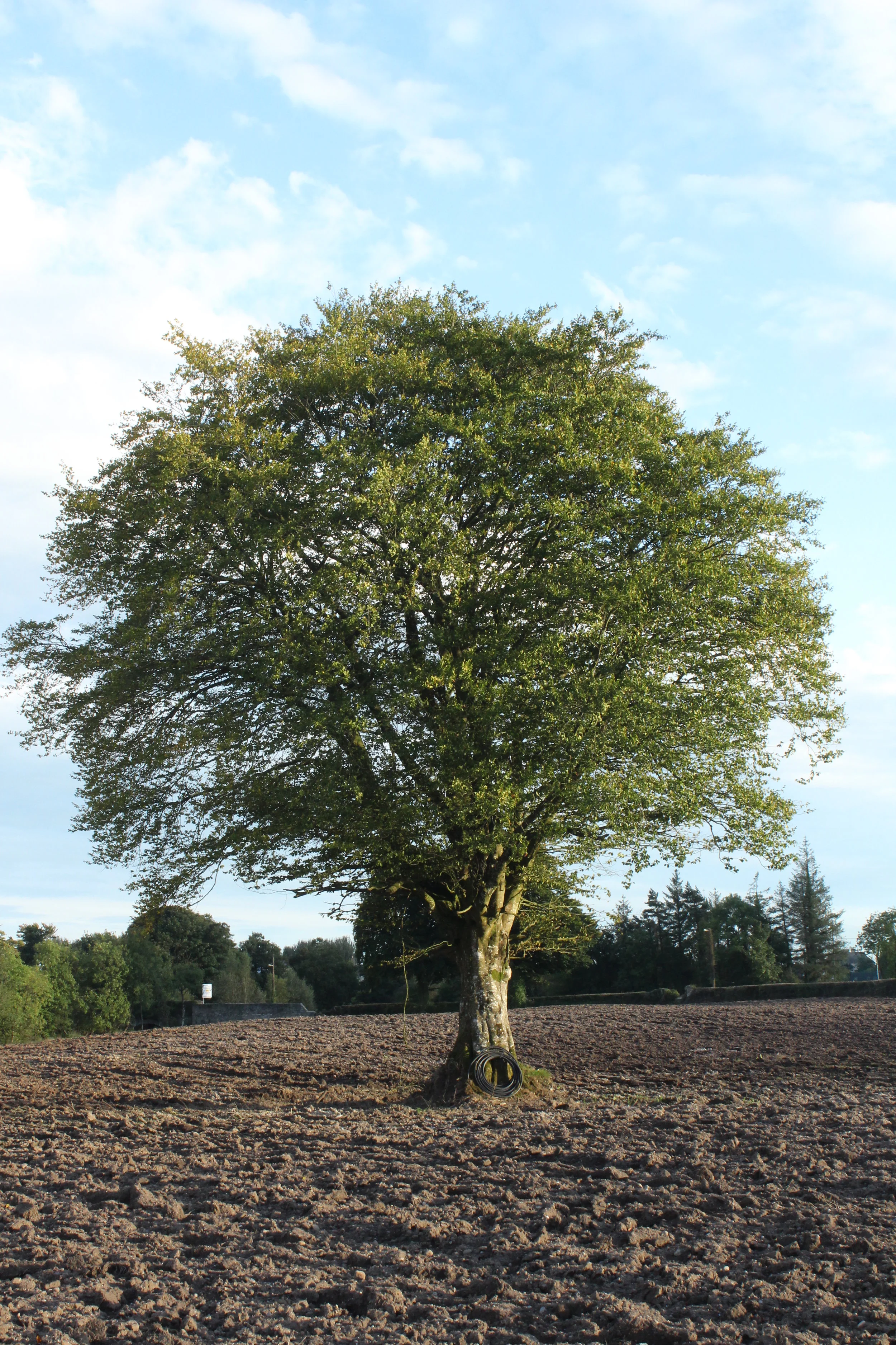 fi ica cycle 069.JPG