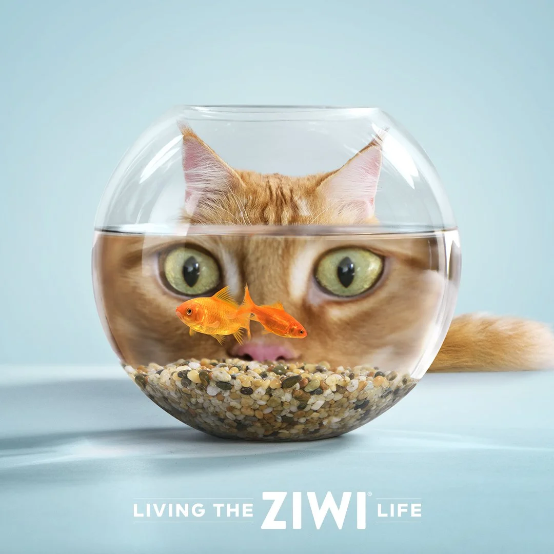 13189_Ziwi_Dog_Fishbowl_RTF.jpg