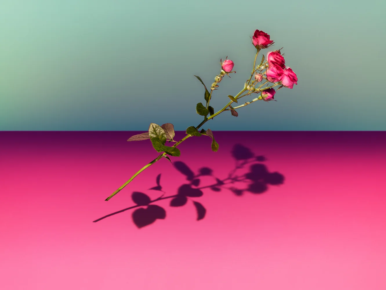 James Day - Falling