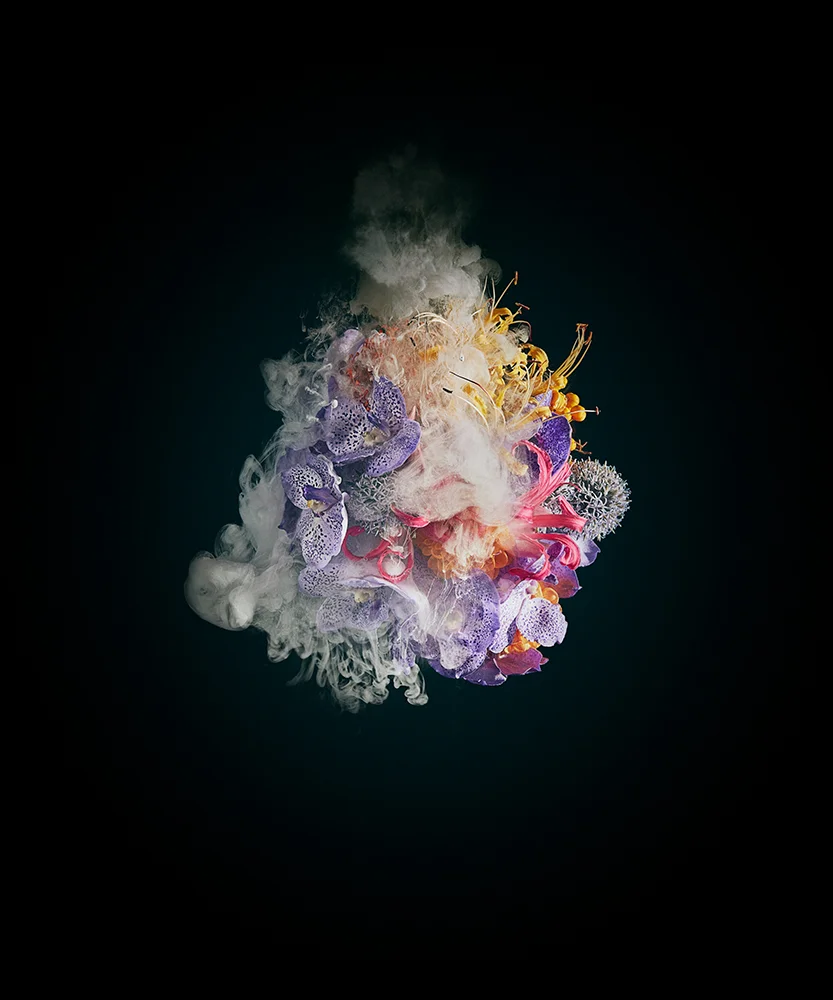 Chris Hoare - Disphotic