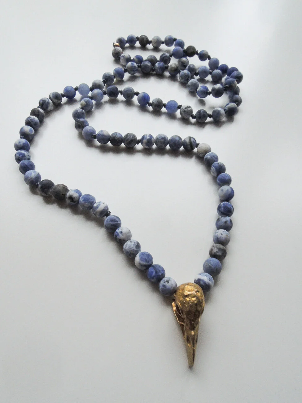 Parrot Skull and Blue Sodalite Gemstones