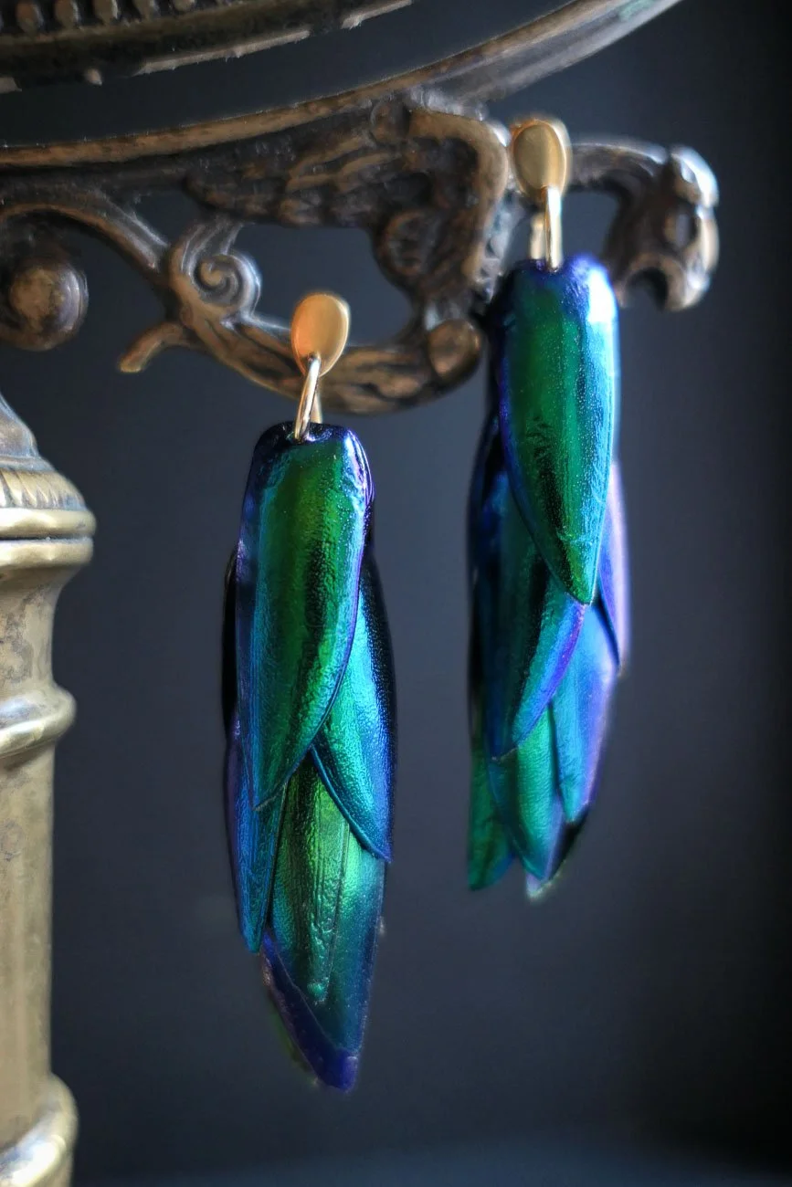 Green Goddess Natural Beetle Wings  Earrings