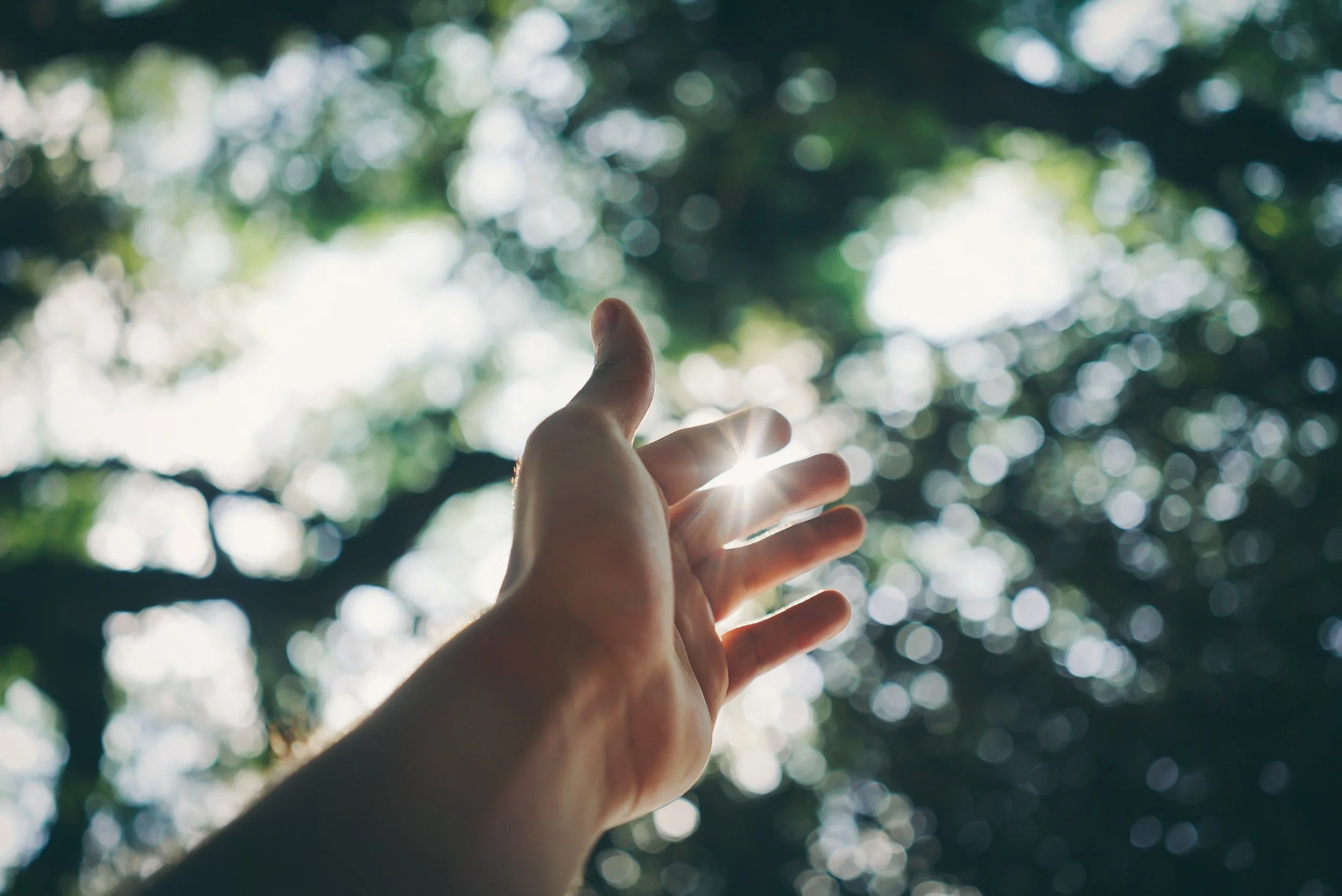 fingers-hand-reaching-1654698.jpg