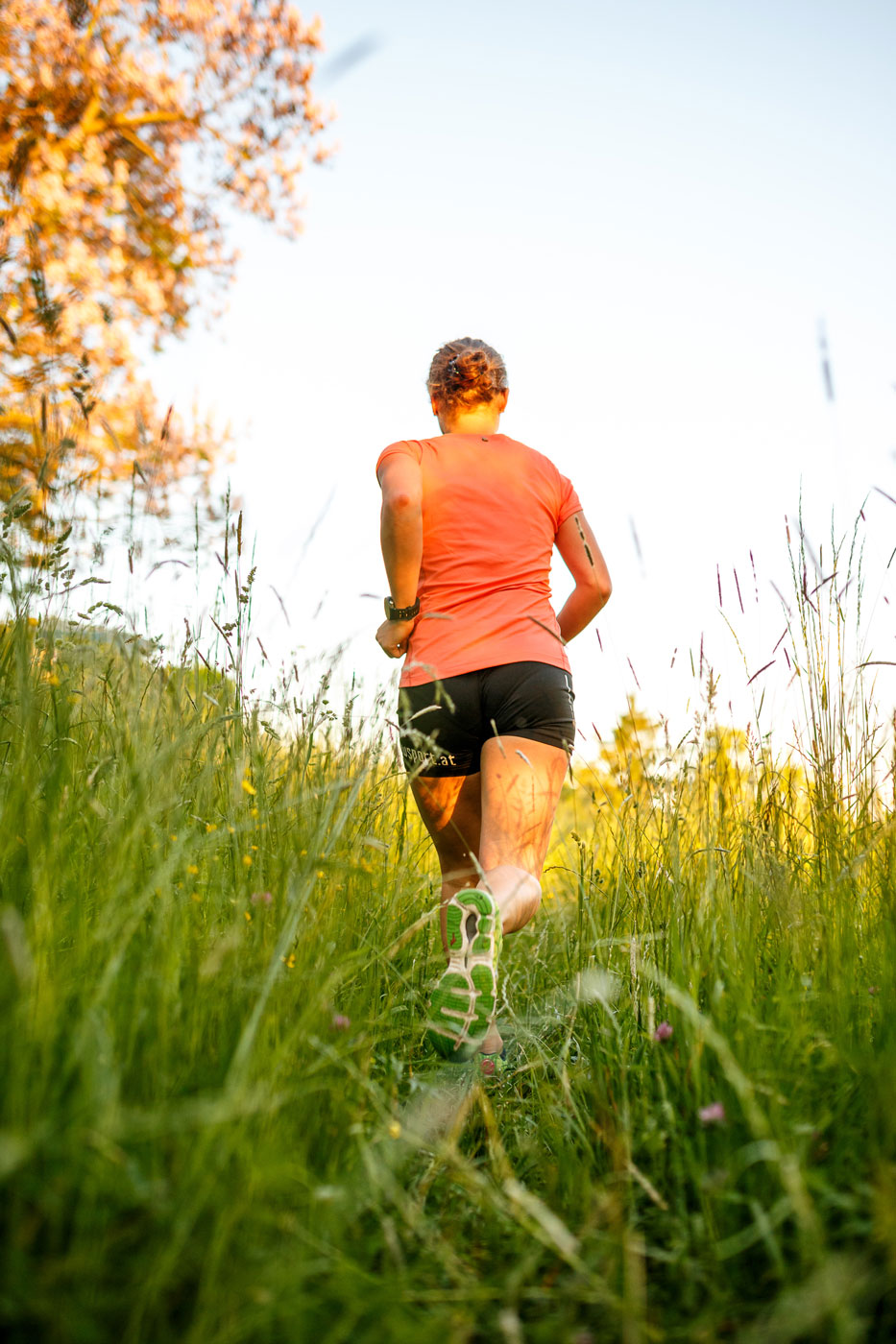 Lauf im hohen Gras