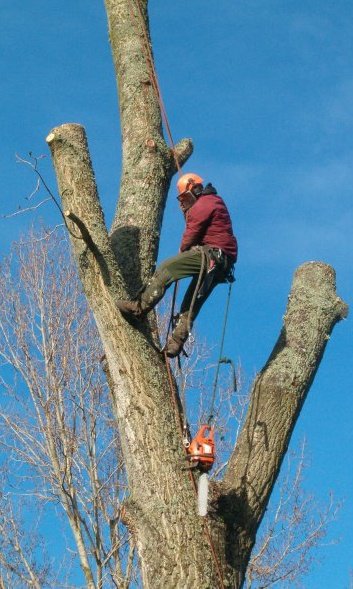 Max on the job (back in the day)