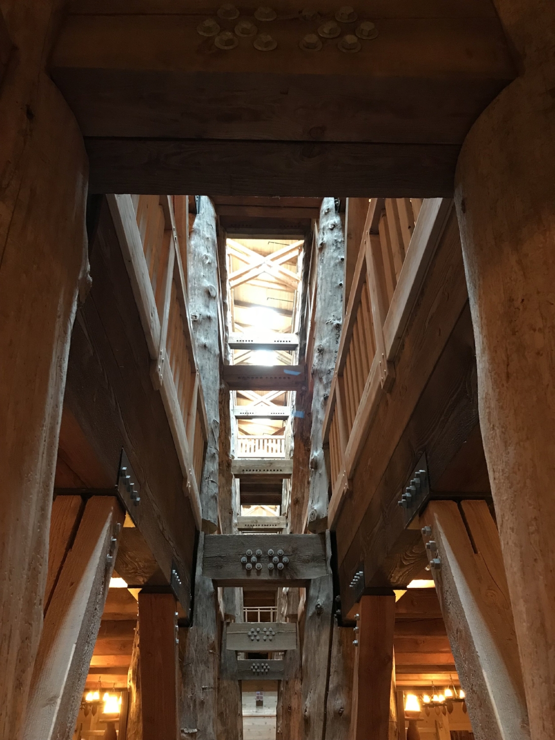 Three stories high. Plenty of room to hold the ancestors of all the species we see today. Does that mean creationists believe in evolution?