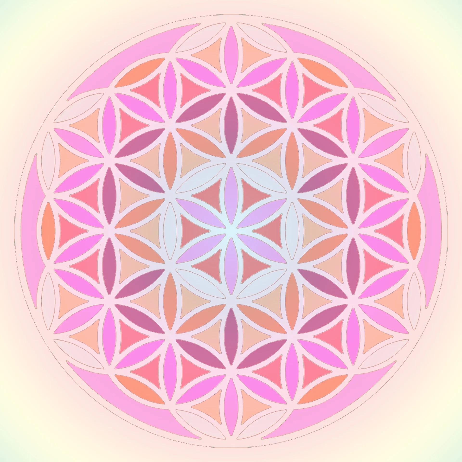 The Entheogenic Experience